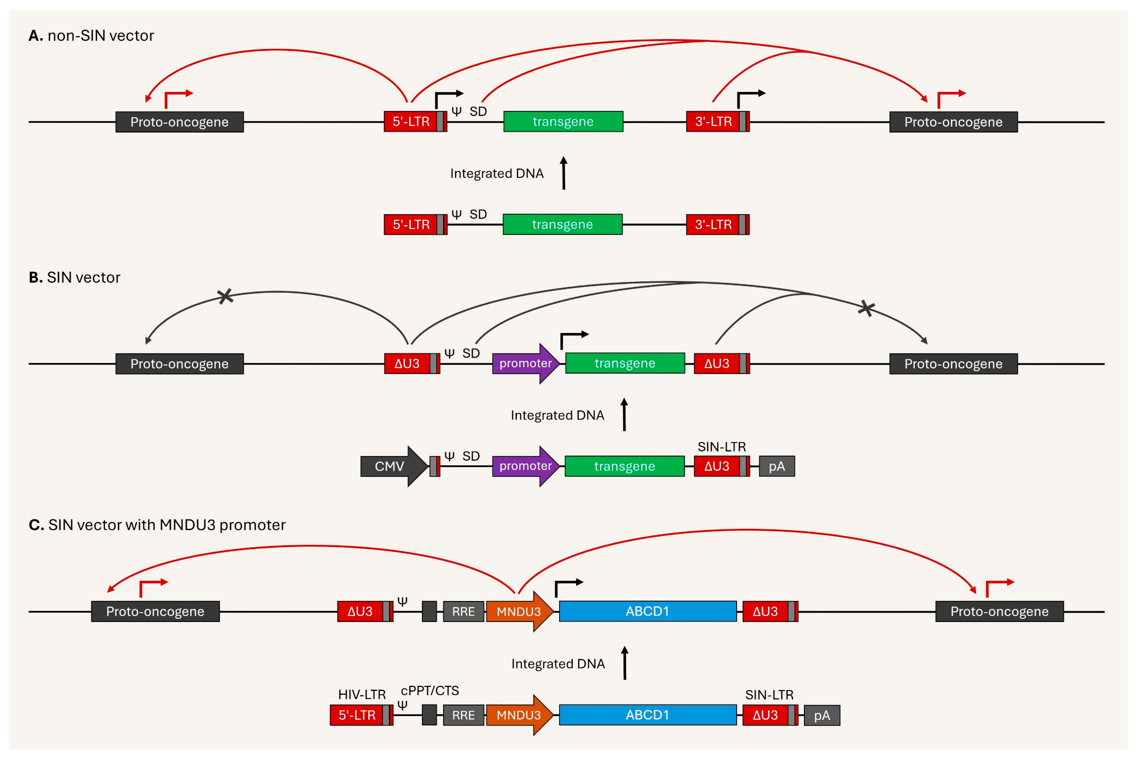 Viruses 17 01036 g004