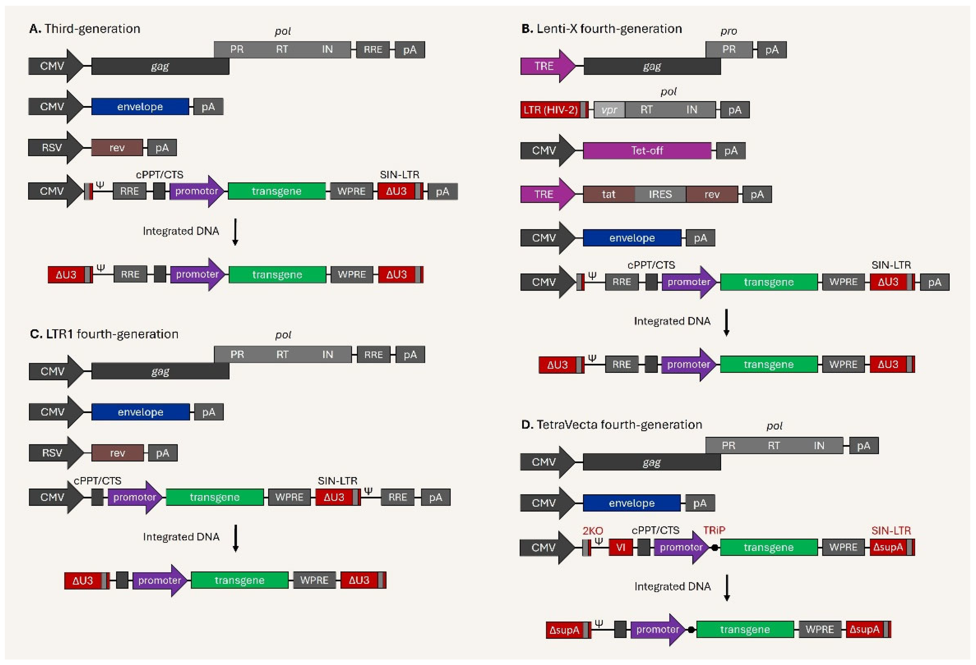 Viruses 17 01036 g005