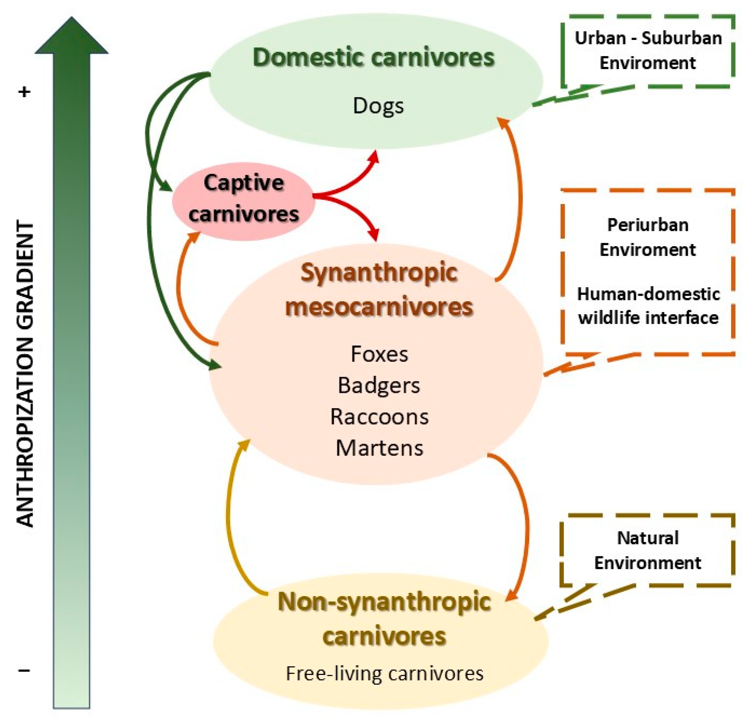 Viruses 17 01045 g002