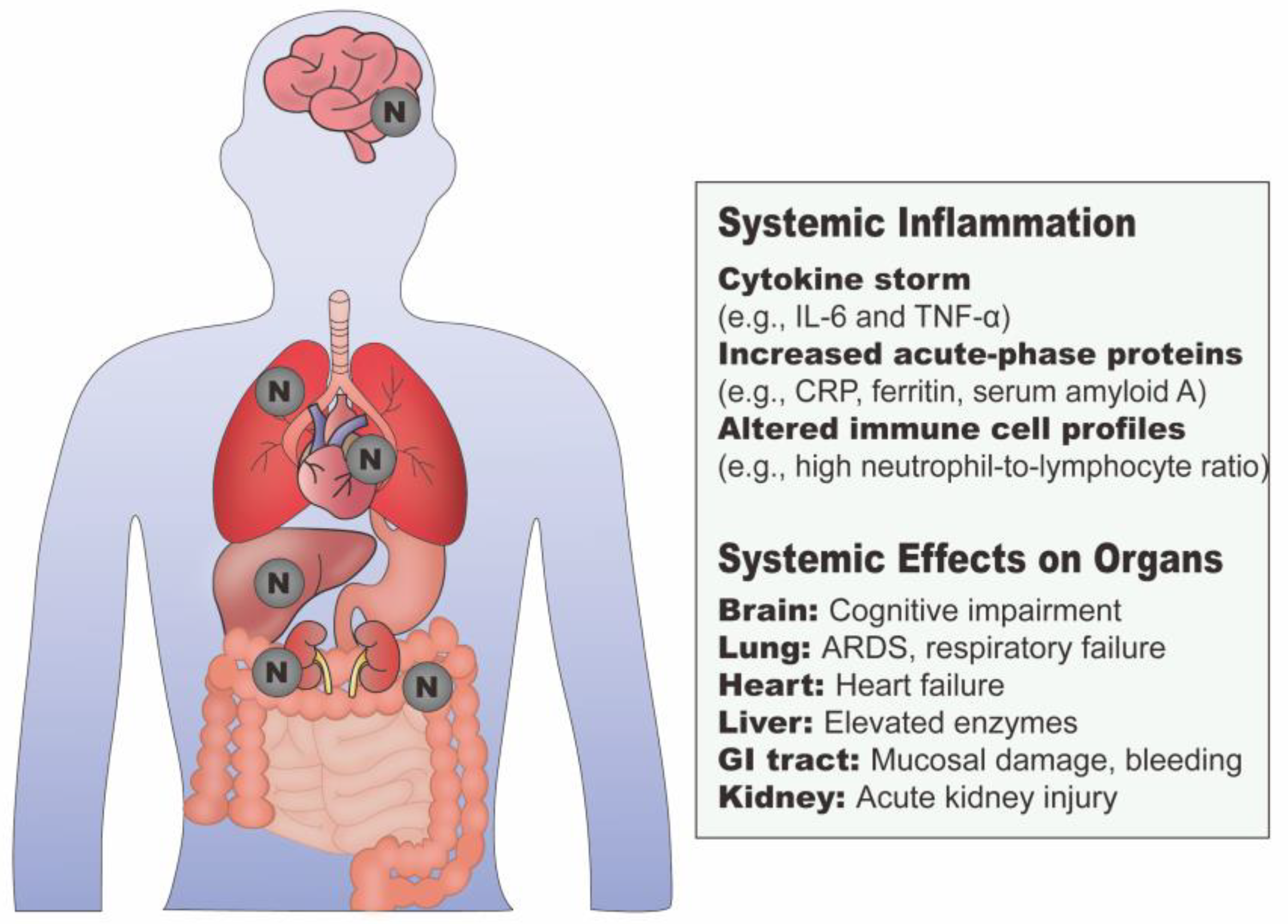 Viruses 17 01046 g002