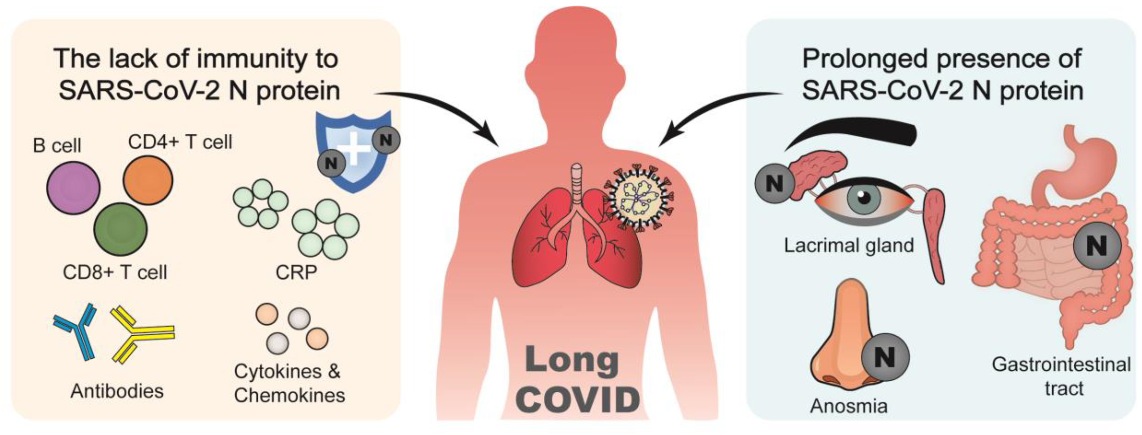 Viruses 17 01046 g003