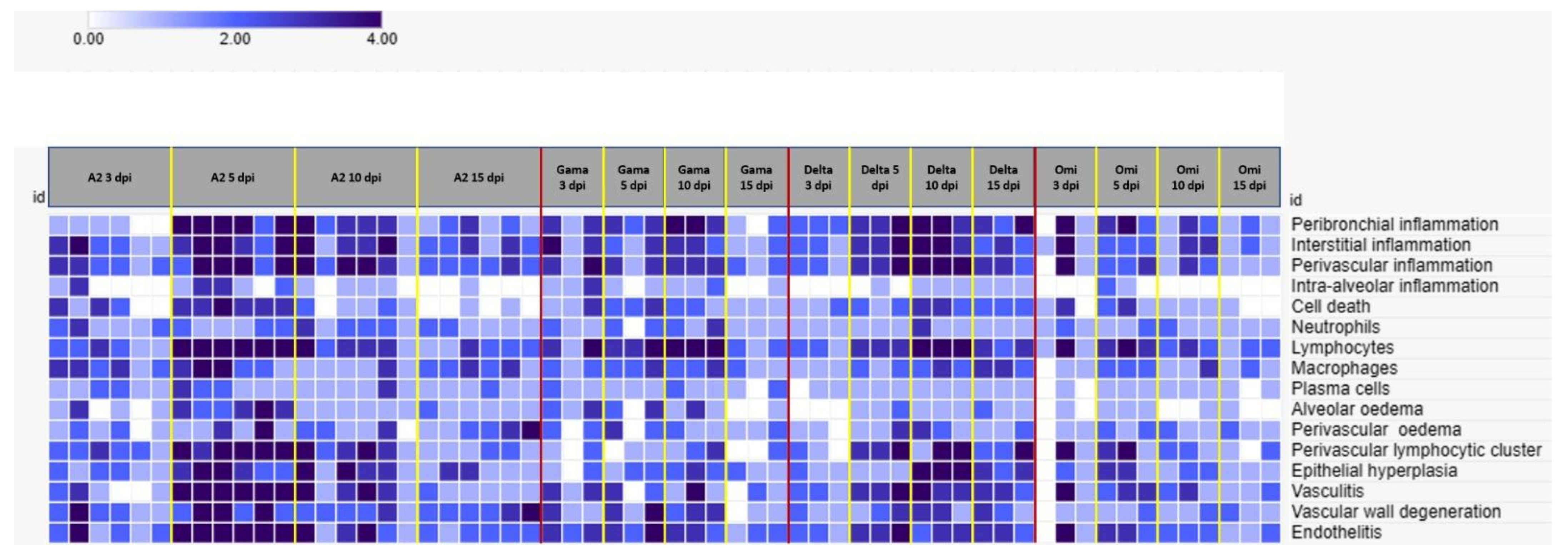 Viruses 17 01048 g006