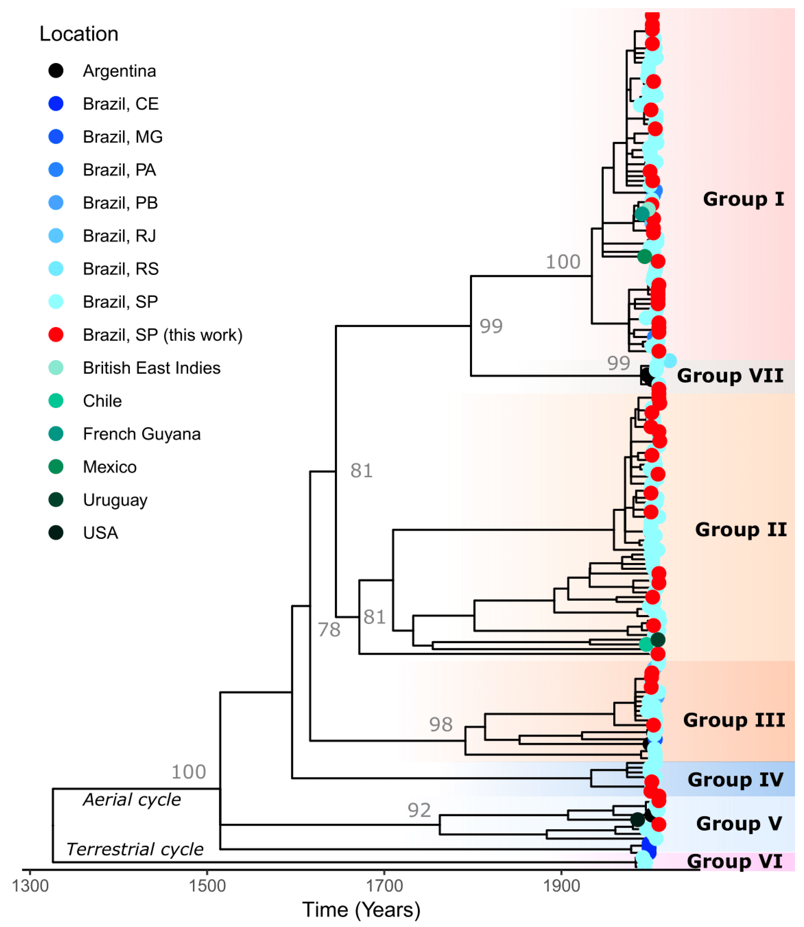 Viruses 17 01063 g002