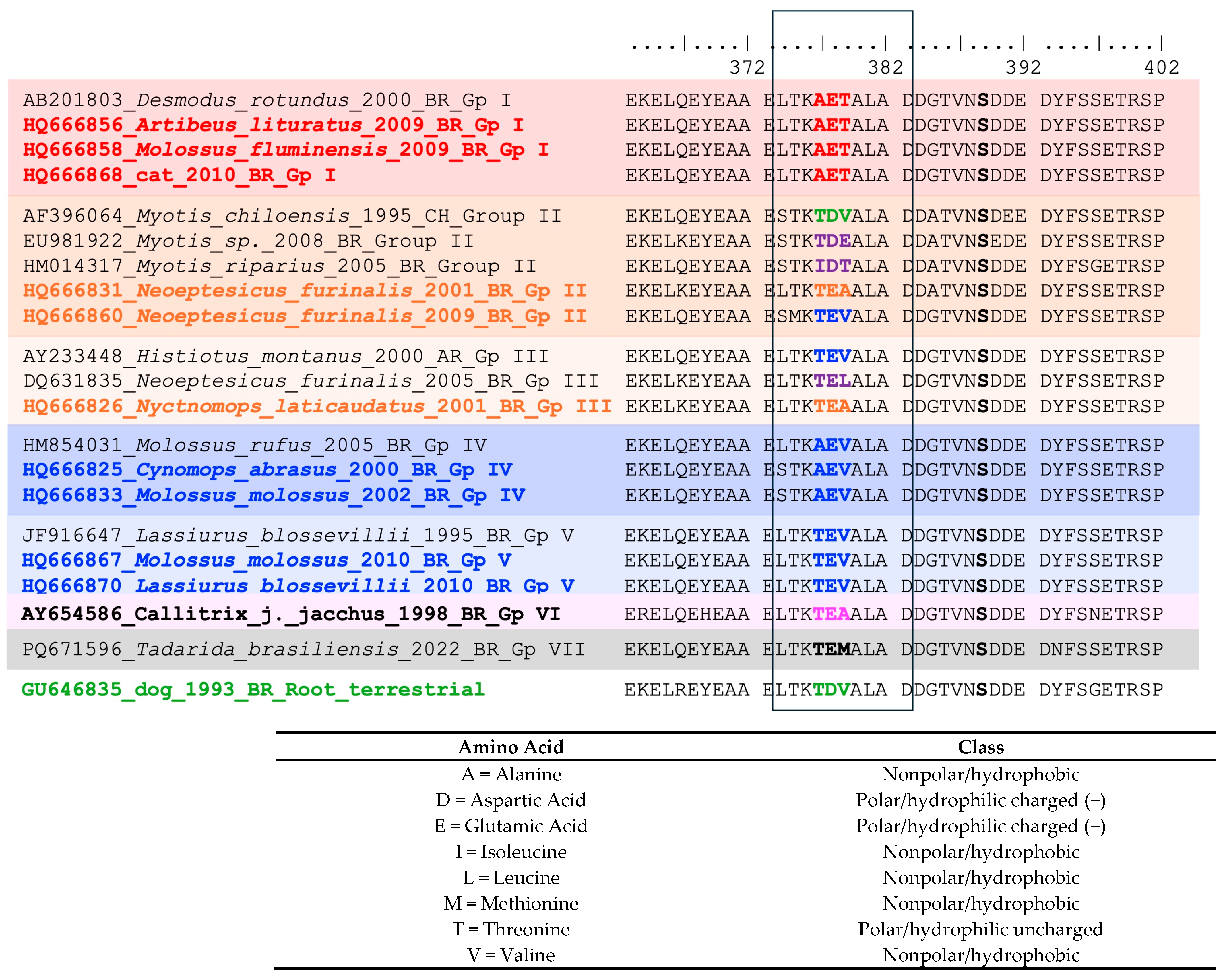 Viruses 17 01063 g003