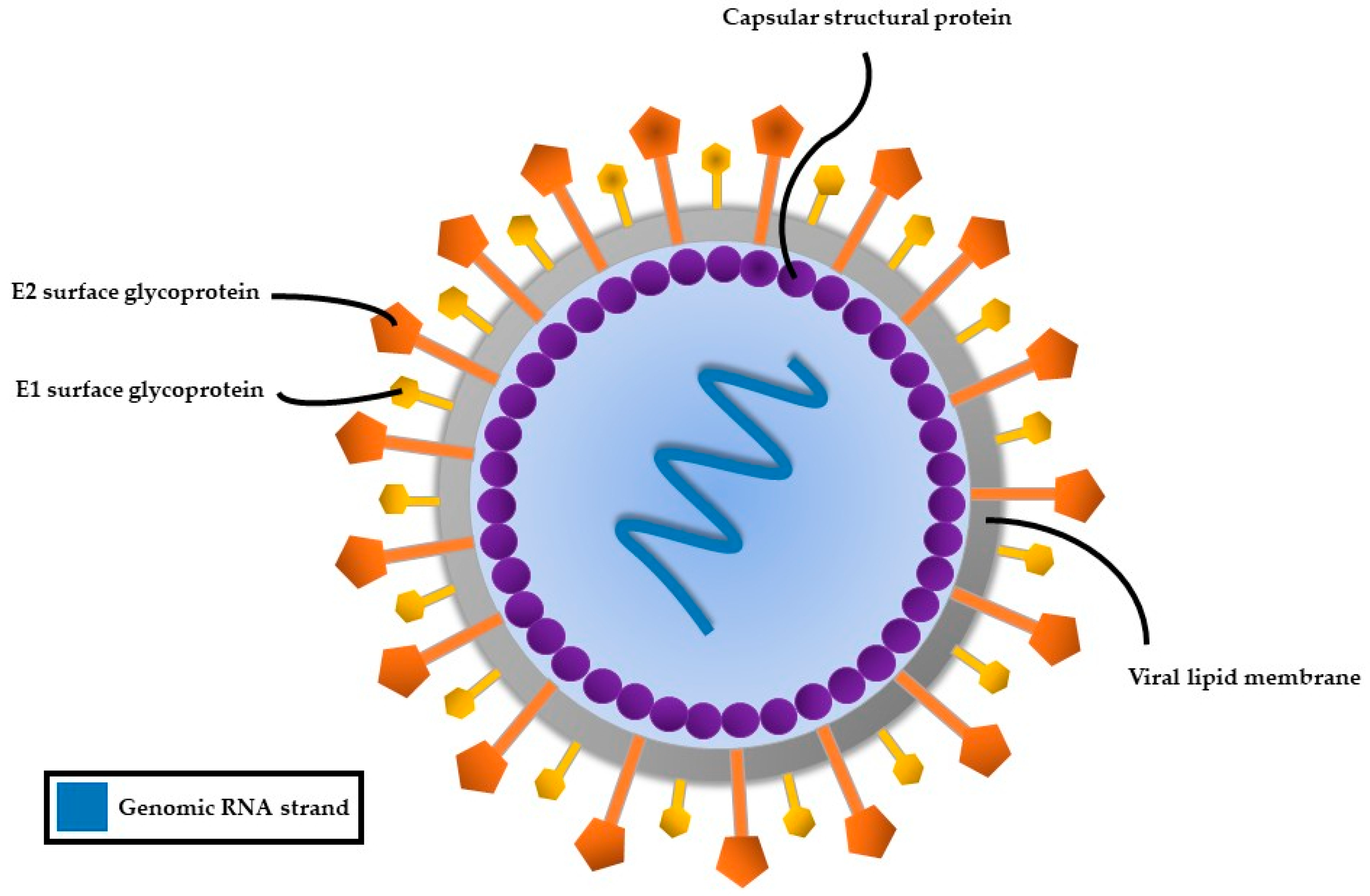 Viruses 17 01069 g002