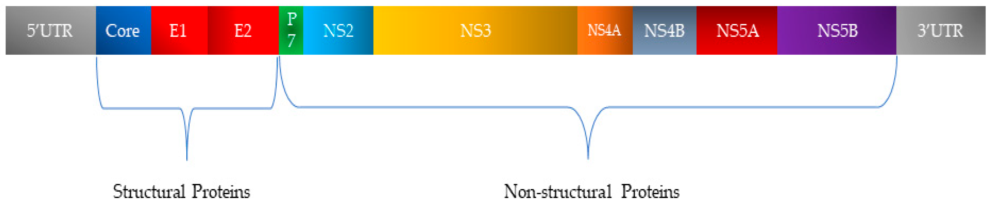 Viruses 17 01069 g003