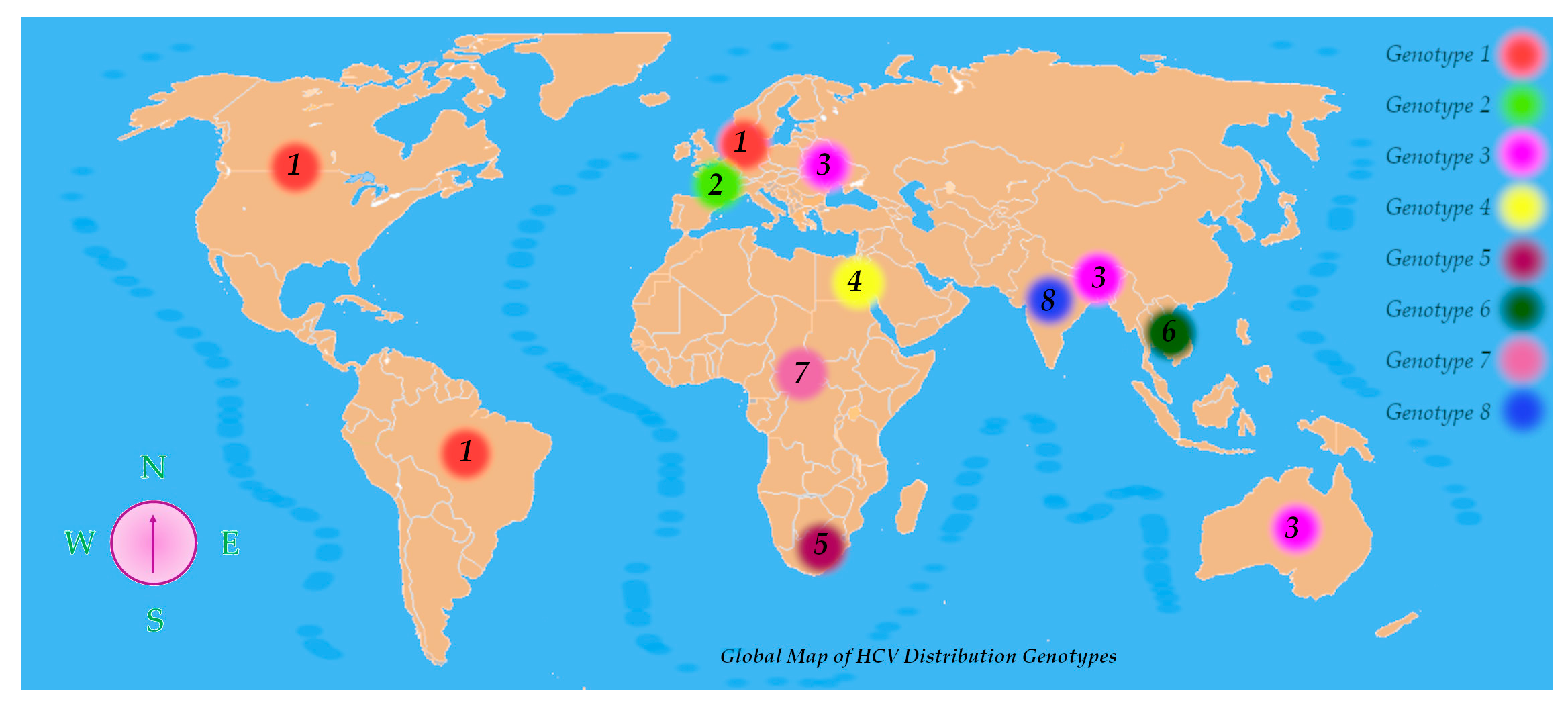 Viruses 17 01069 g004