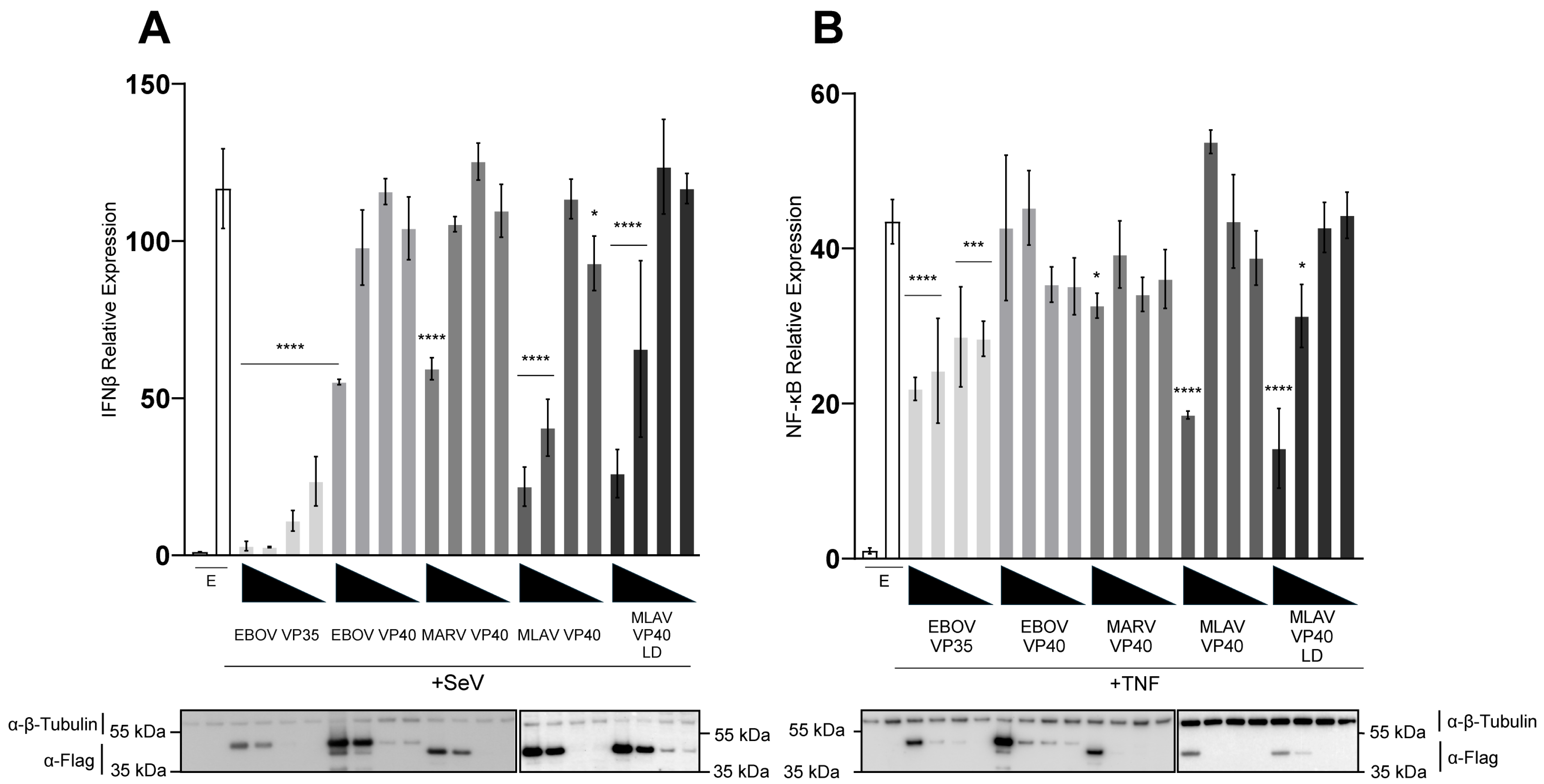 Viruses 17 01082 g001