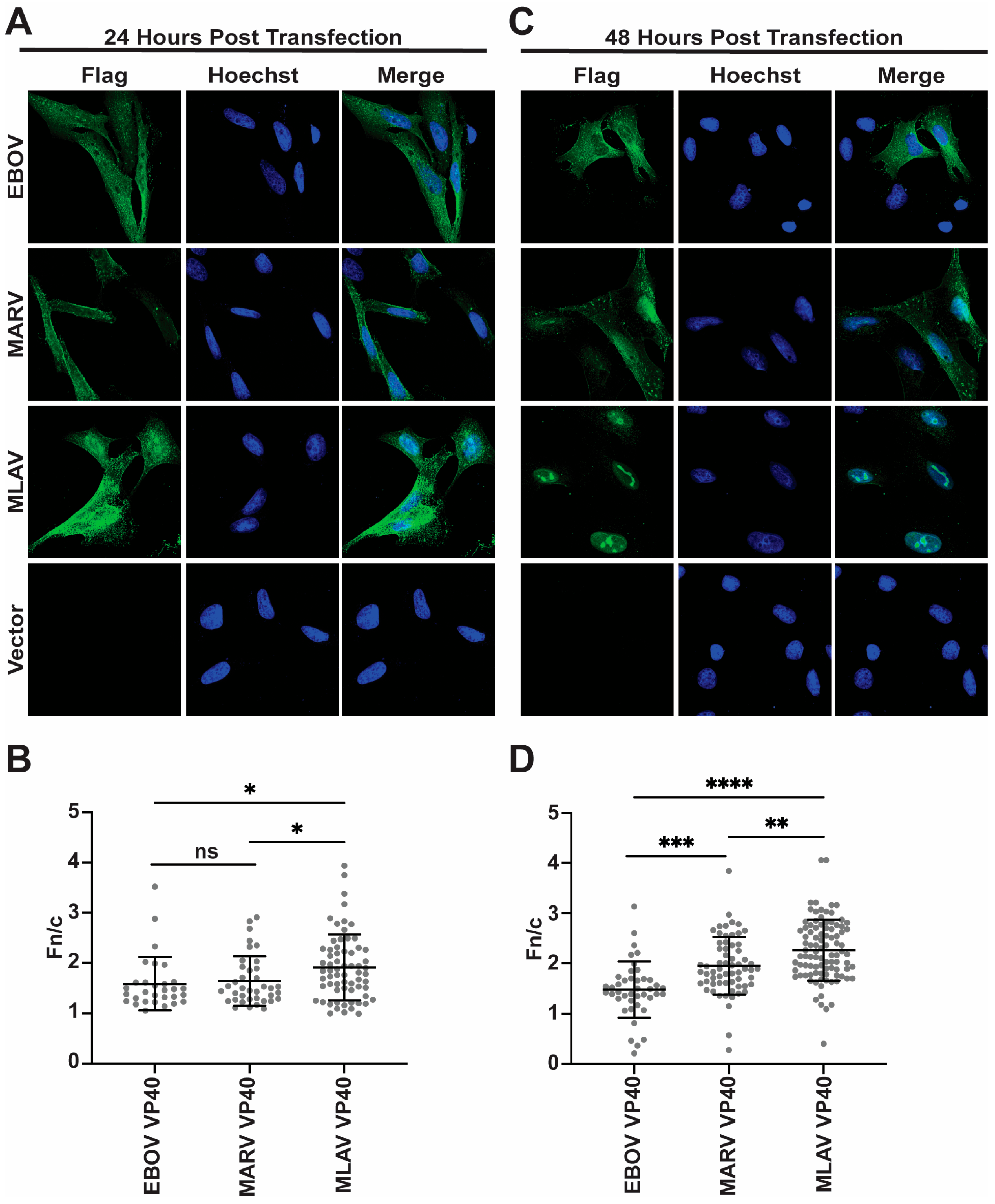 Viruses 17 01082 g004