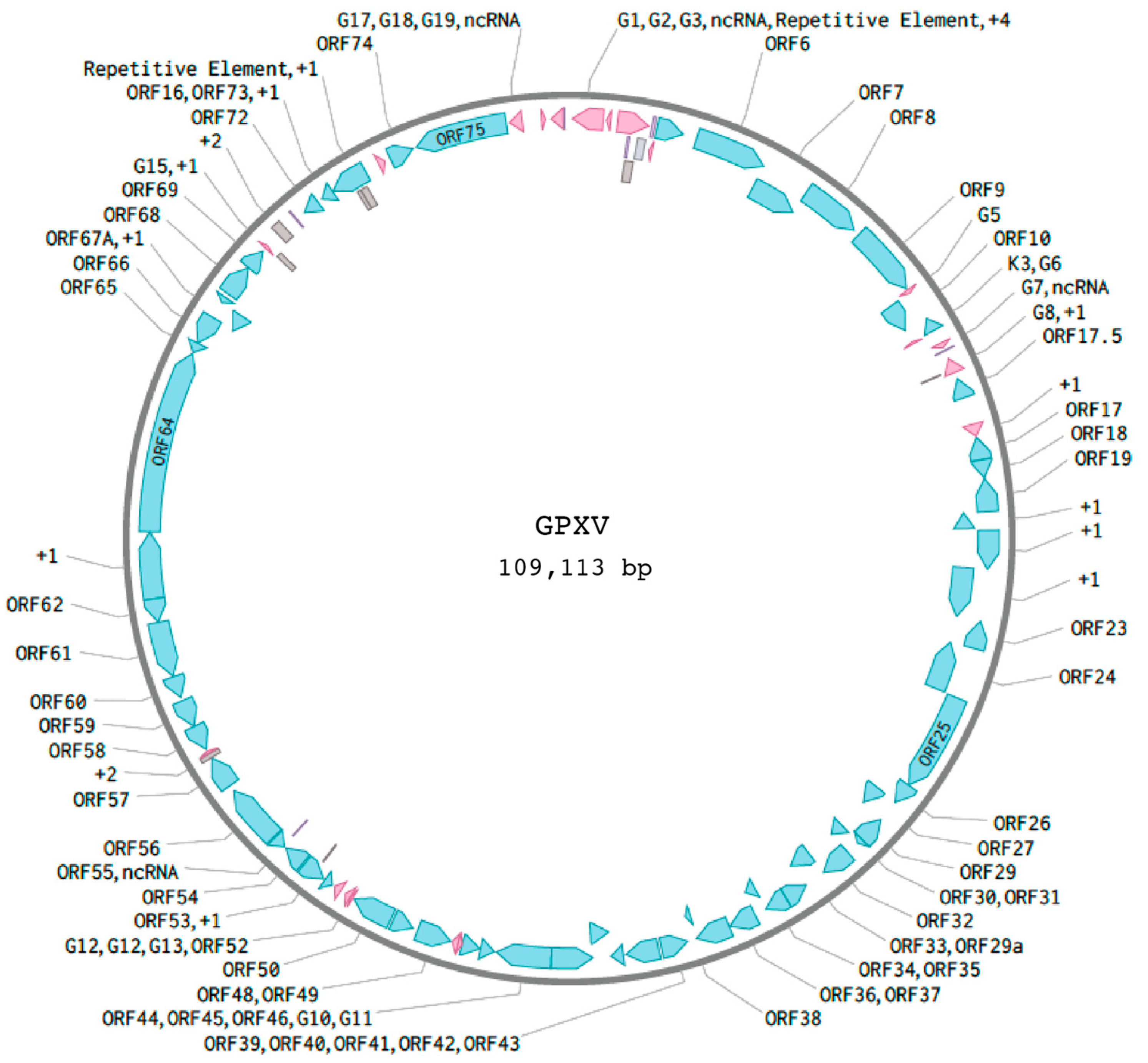 Viruses 17 01084 g001