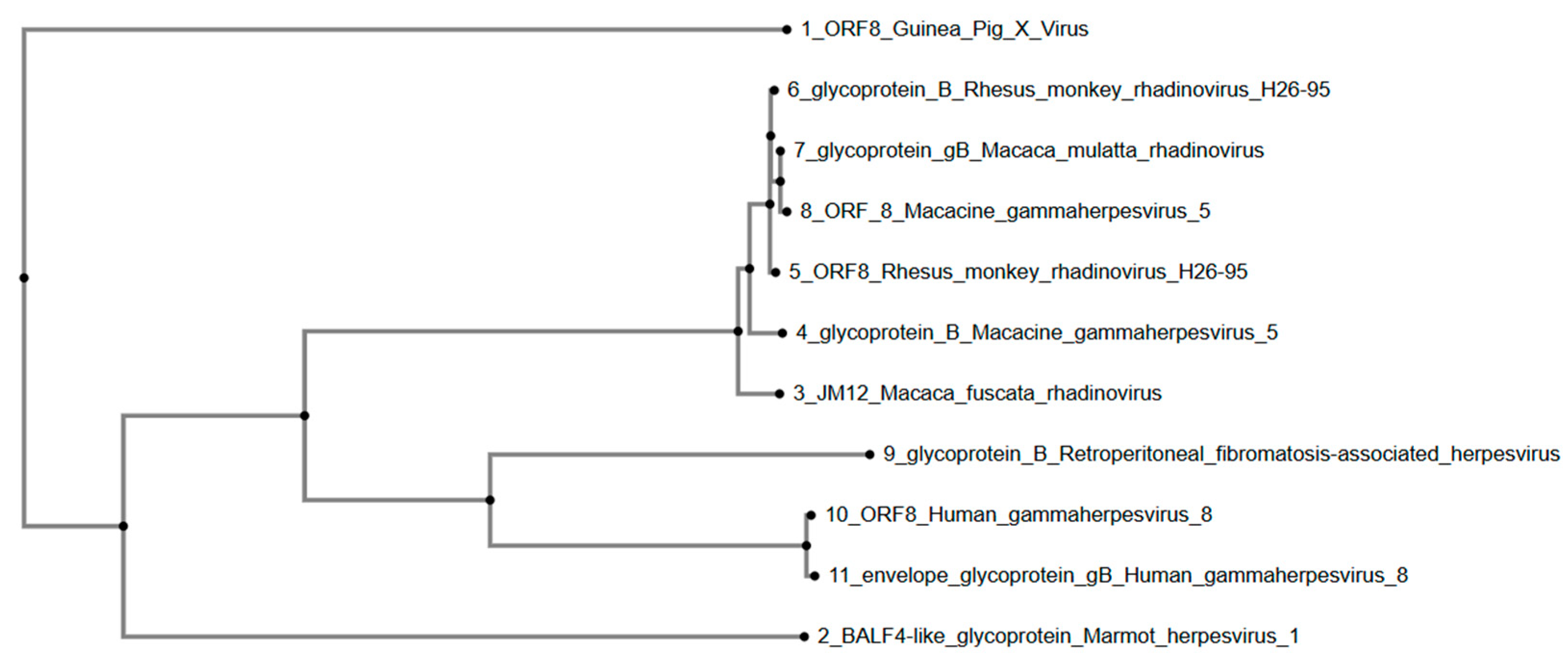 Viruses 17 01084 g002