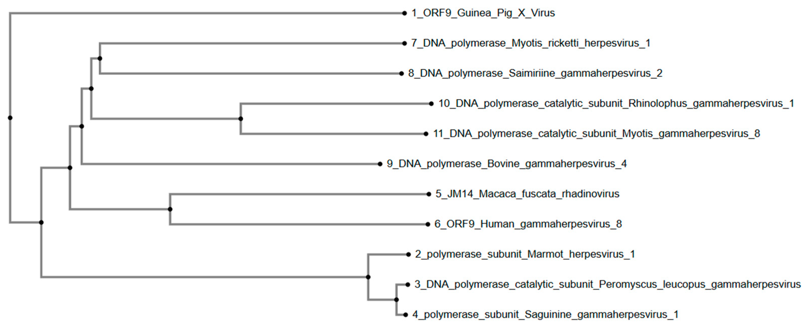 Viruses 17 01084 g003