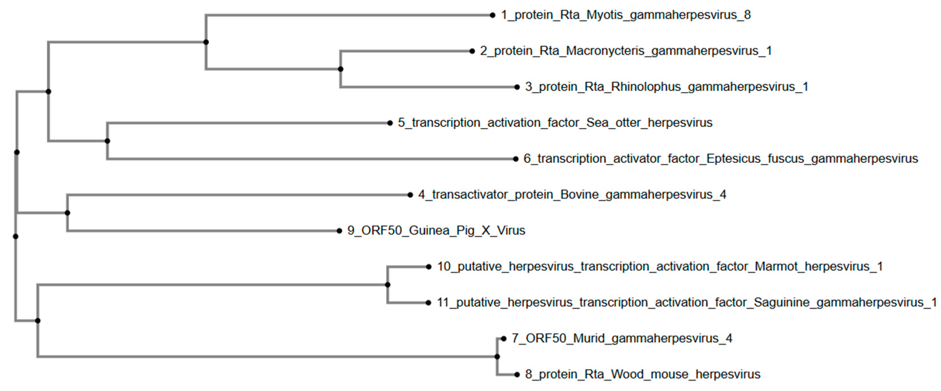 Viruses 17 01084 g004