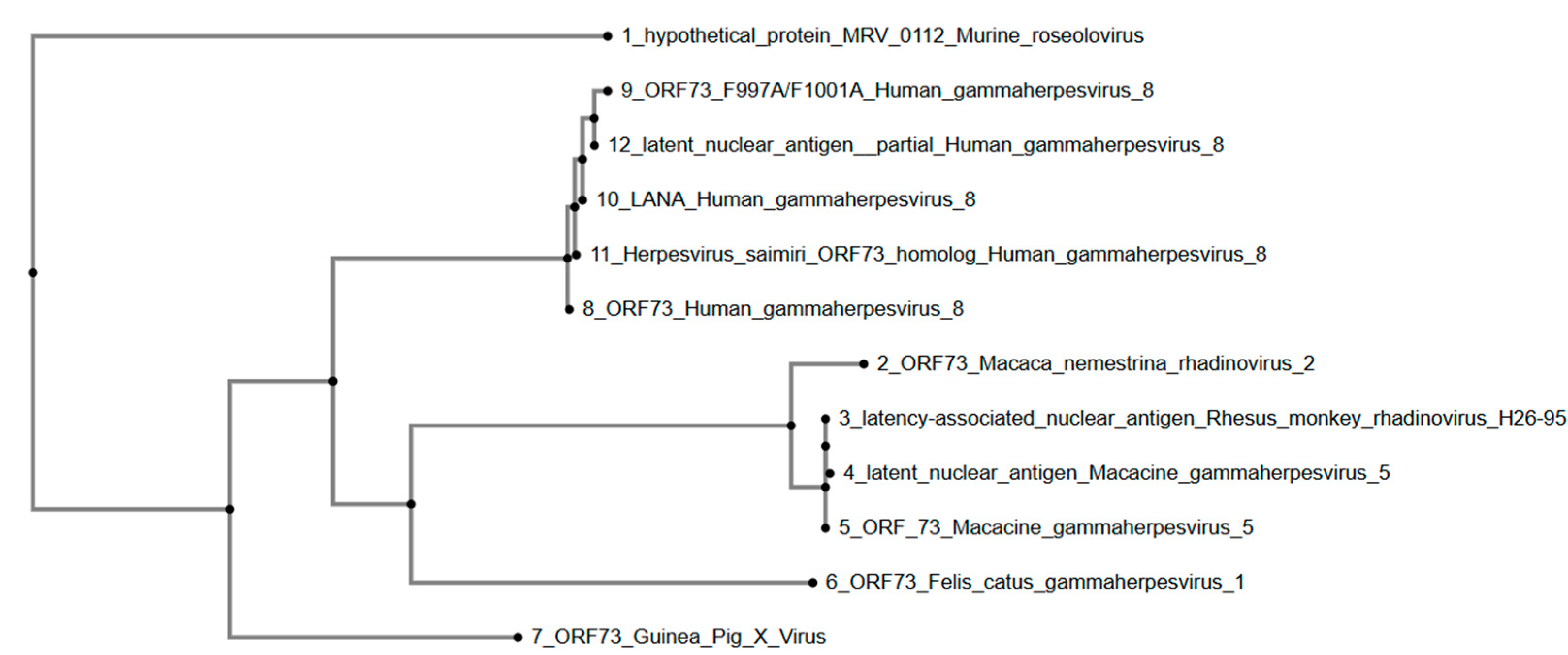 Viruses 17 01084 g005