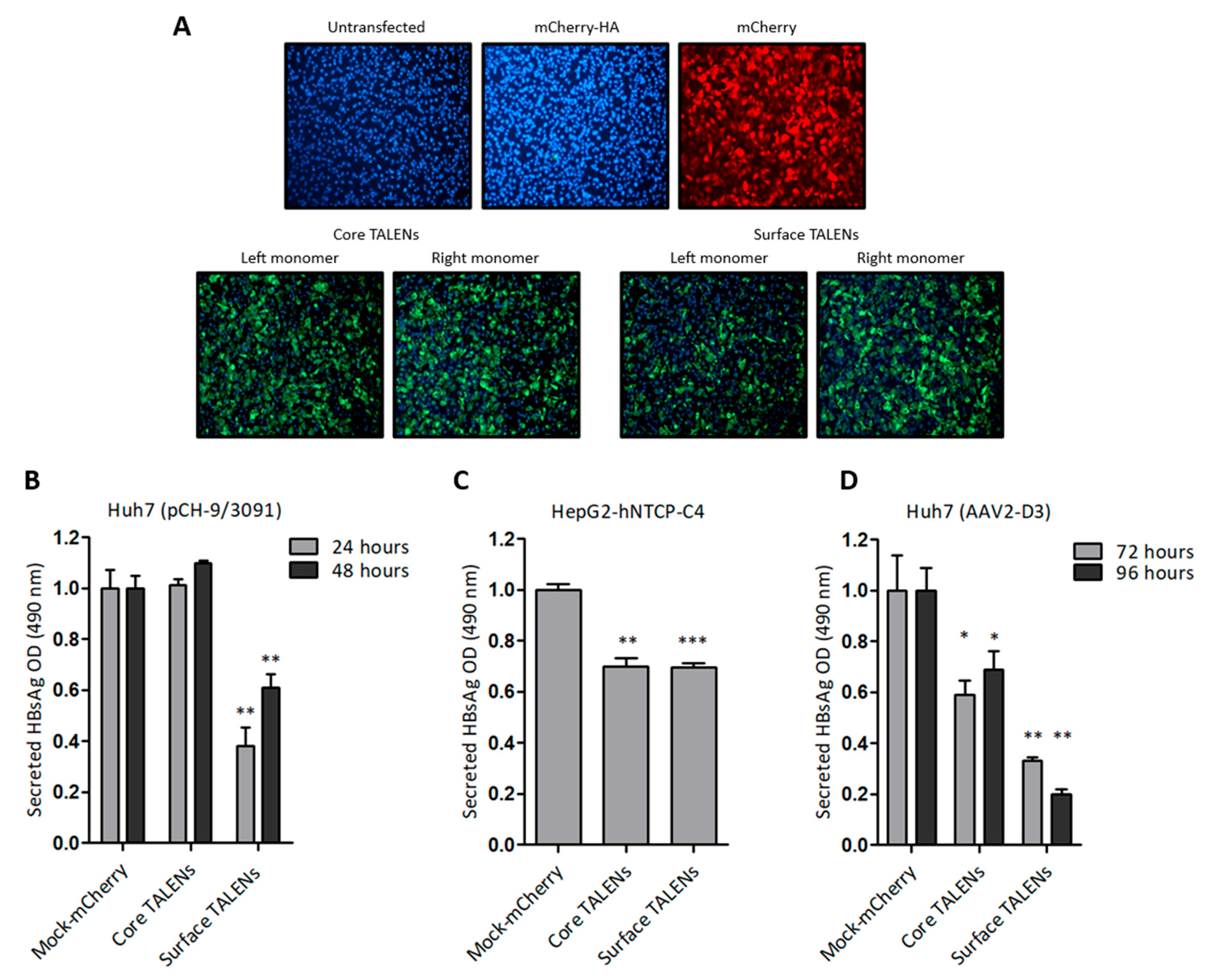 Viruses 17 01090 g002