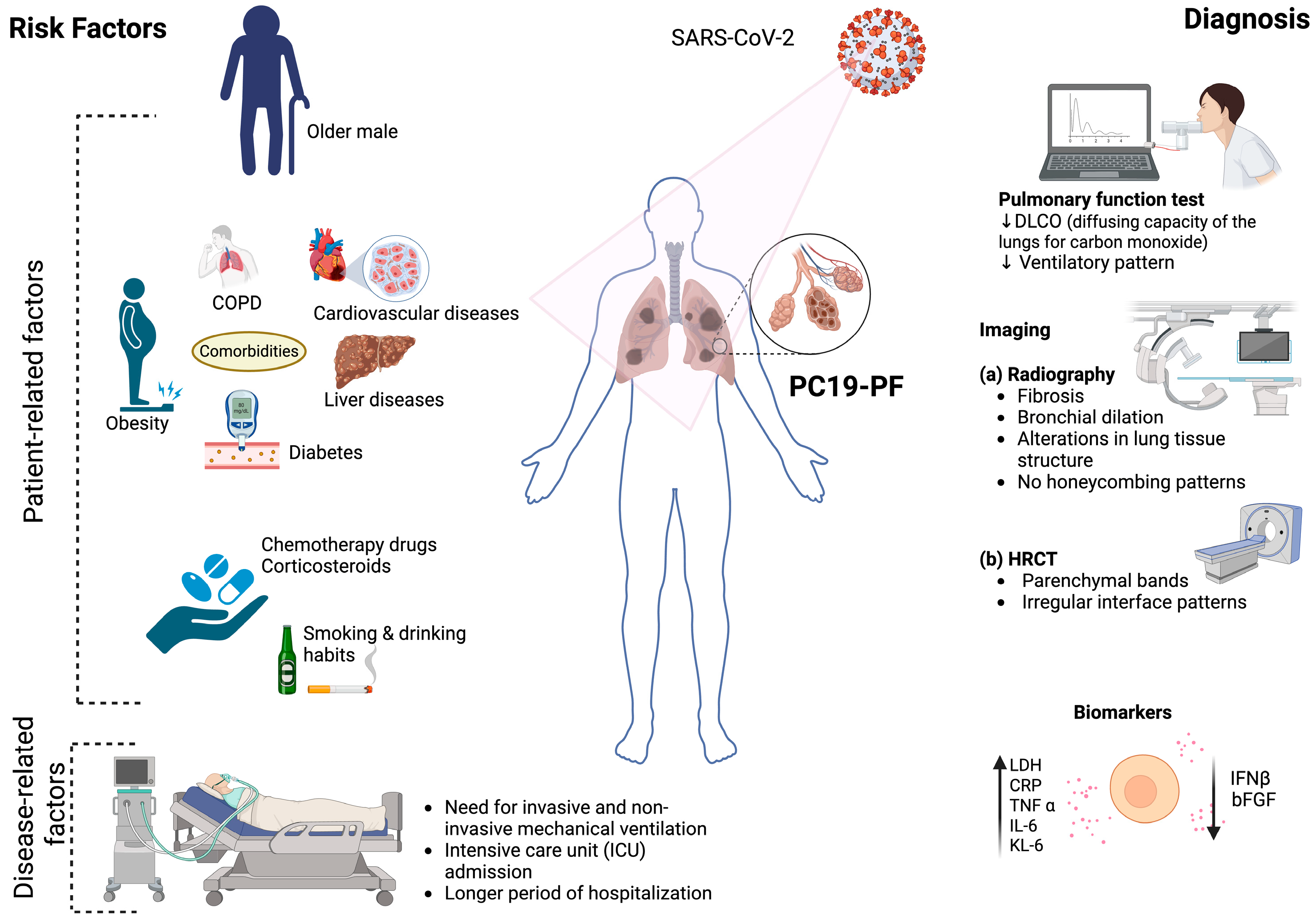 Viruses 17 01098 g001