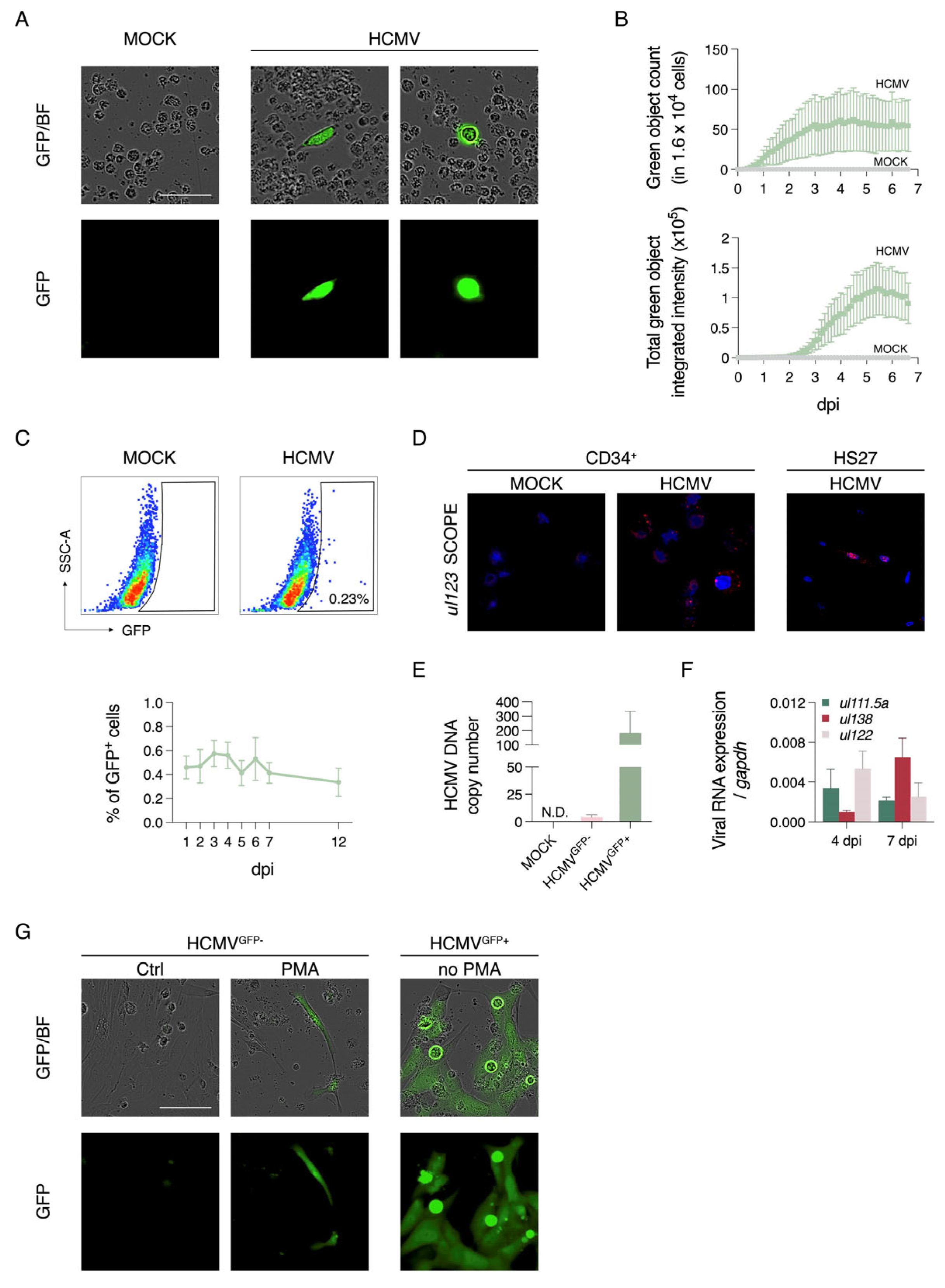 Viruses 17 01109 g001