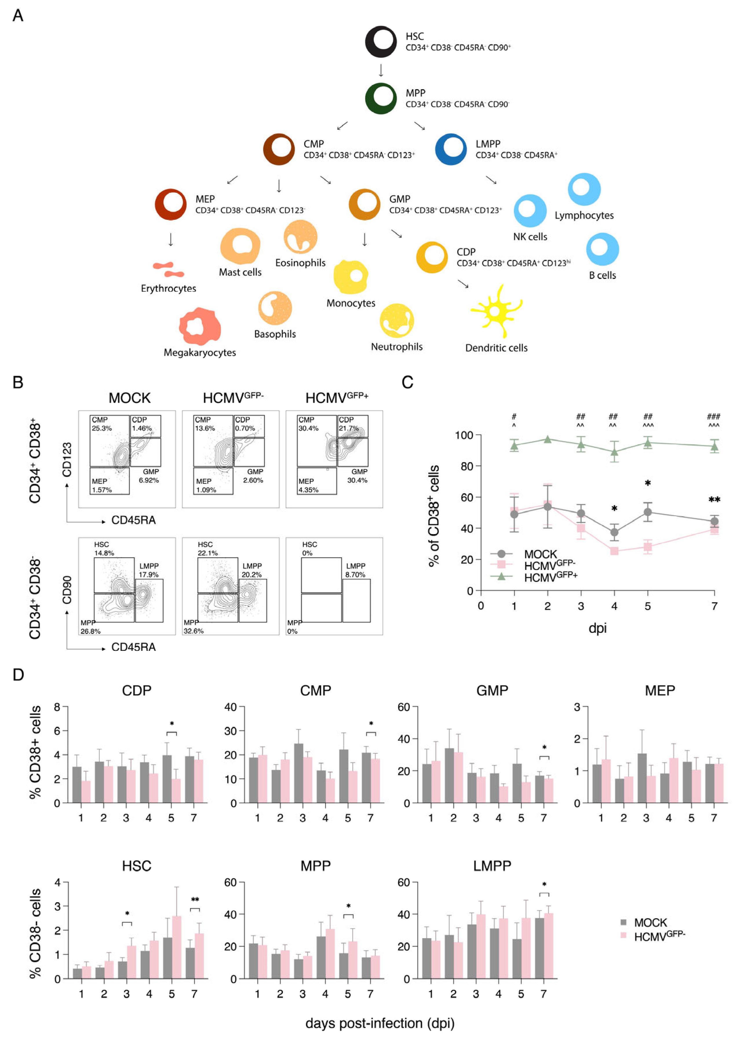 Viruses 17 01109 g002