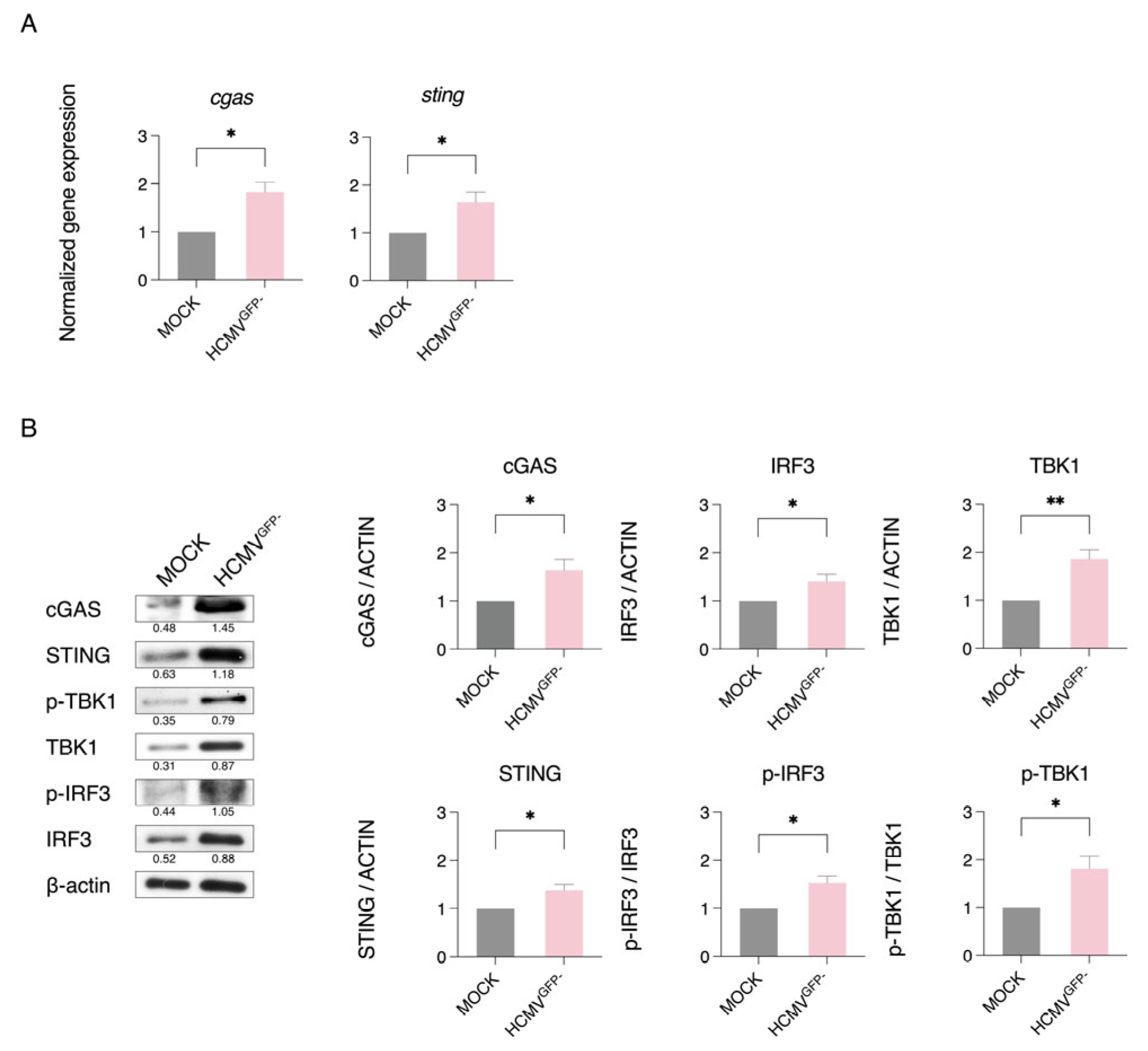 Viruses 17 01109 g004