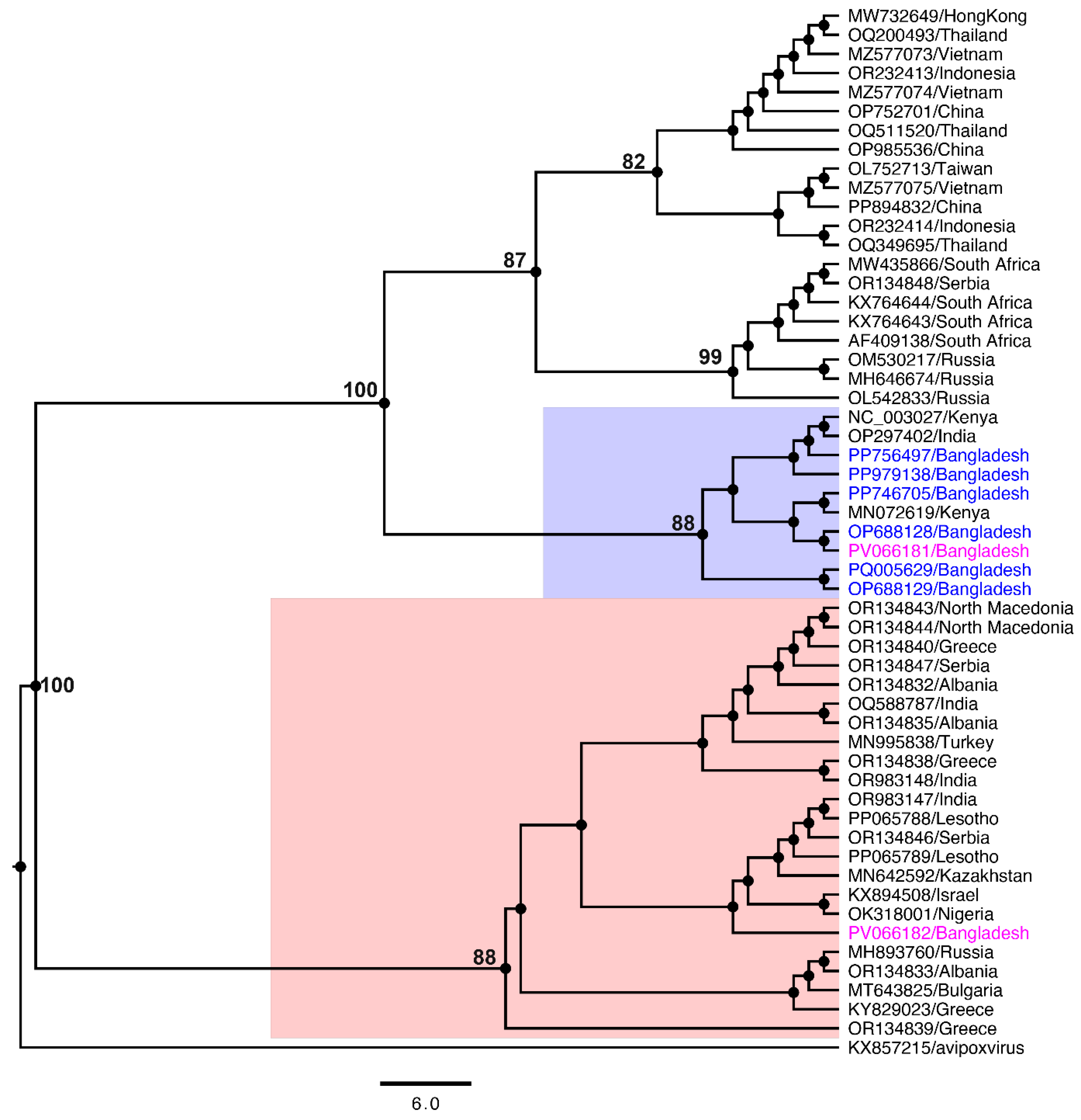 Viruses 17 01126 g002 Viruses 17 01126 g002