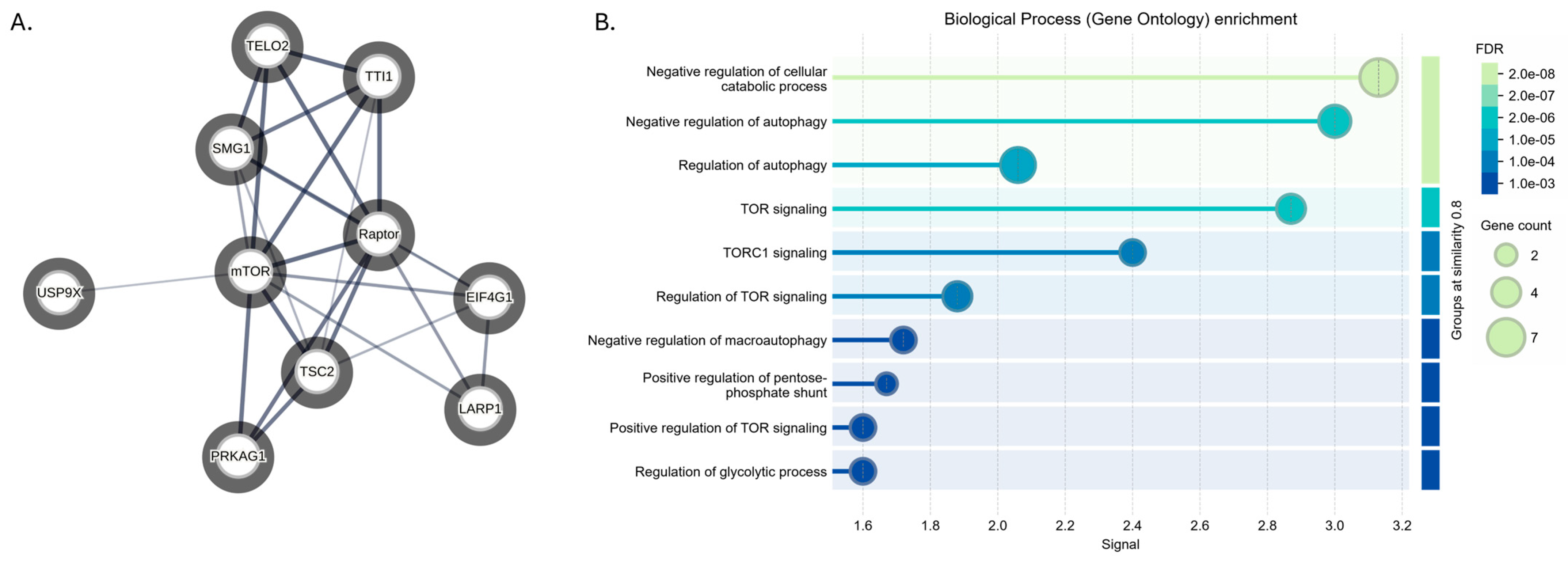 Viruses 17 01139 g002