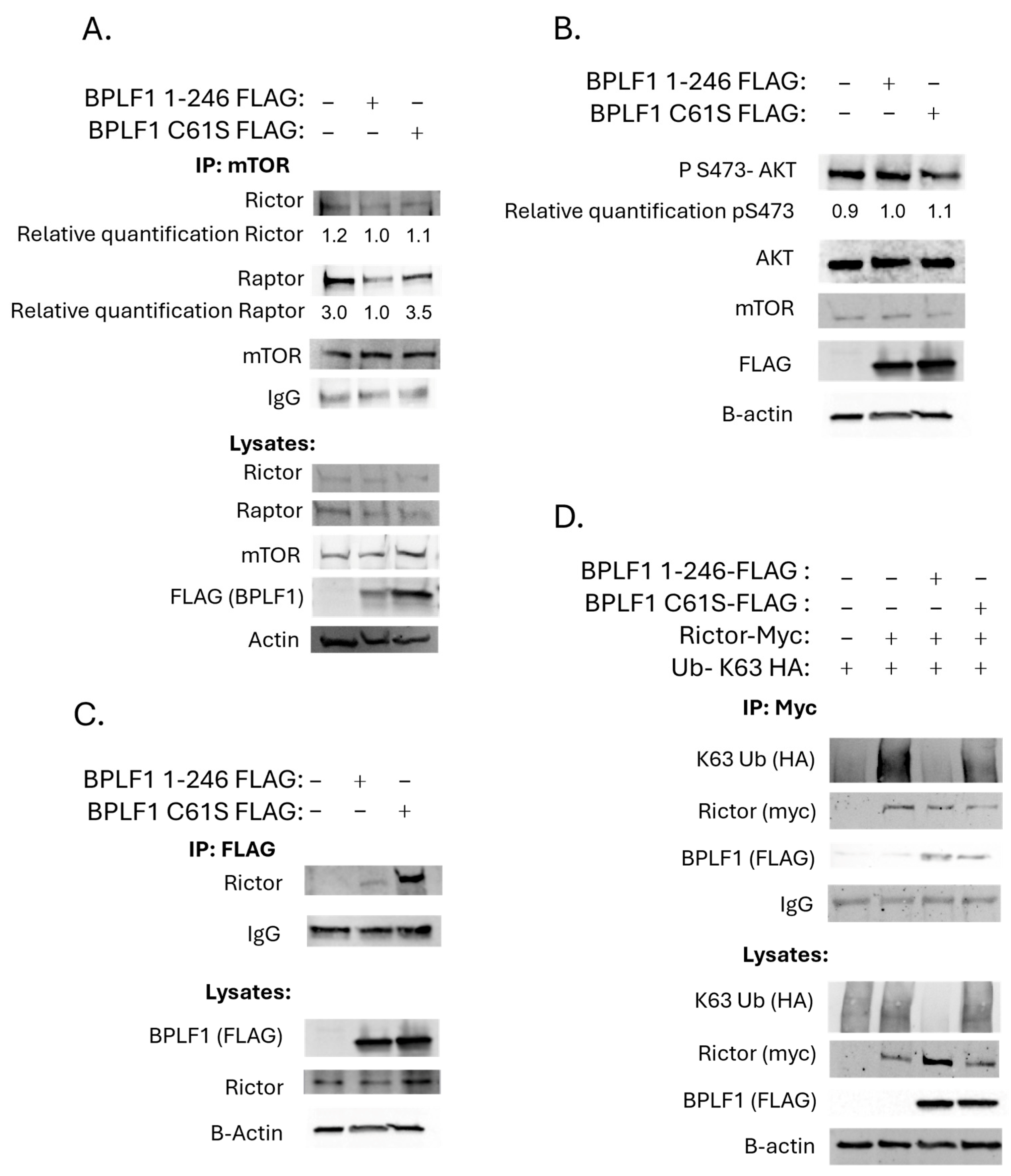 Viruses 17 01139 g006