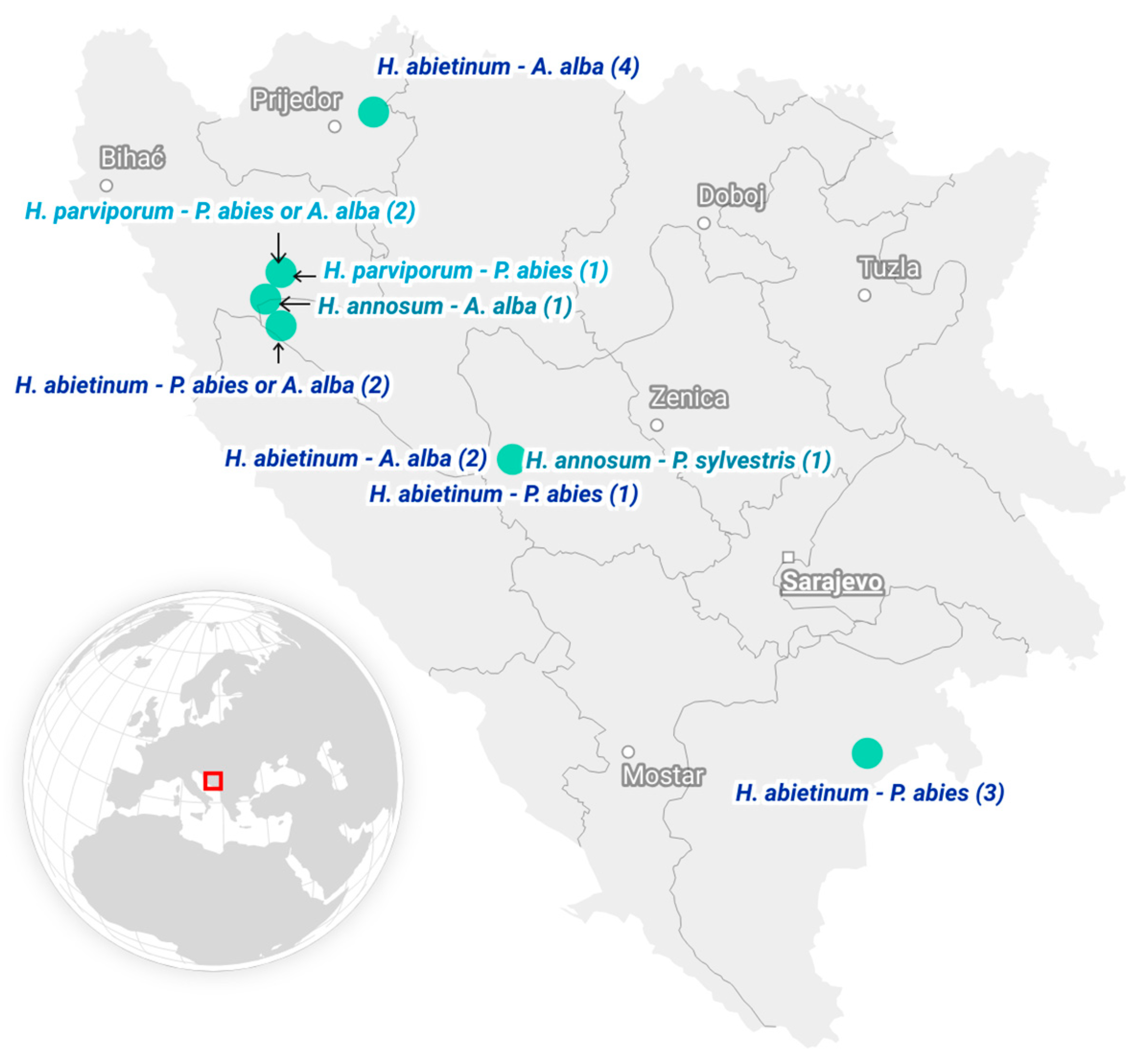 Viruses 17 01144 g001 Viruses 17 01144 g001
