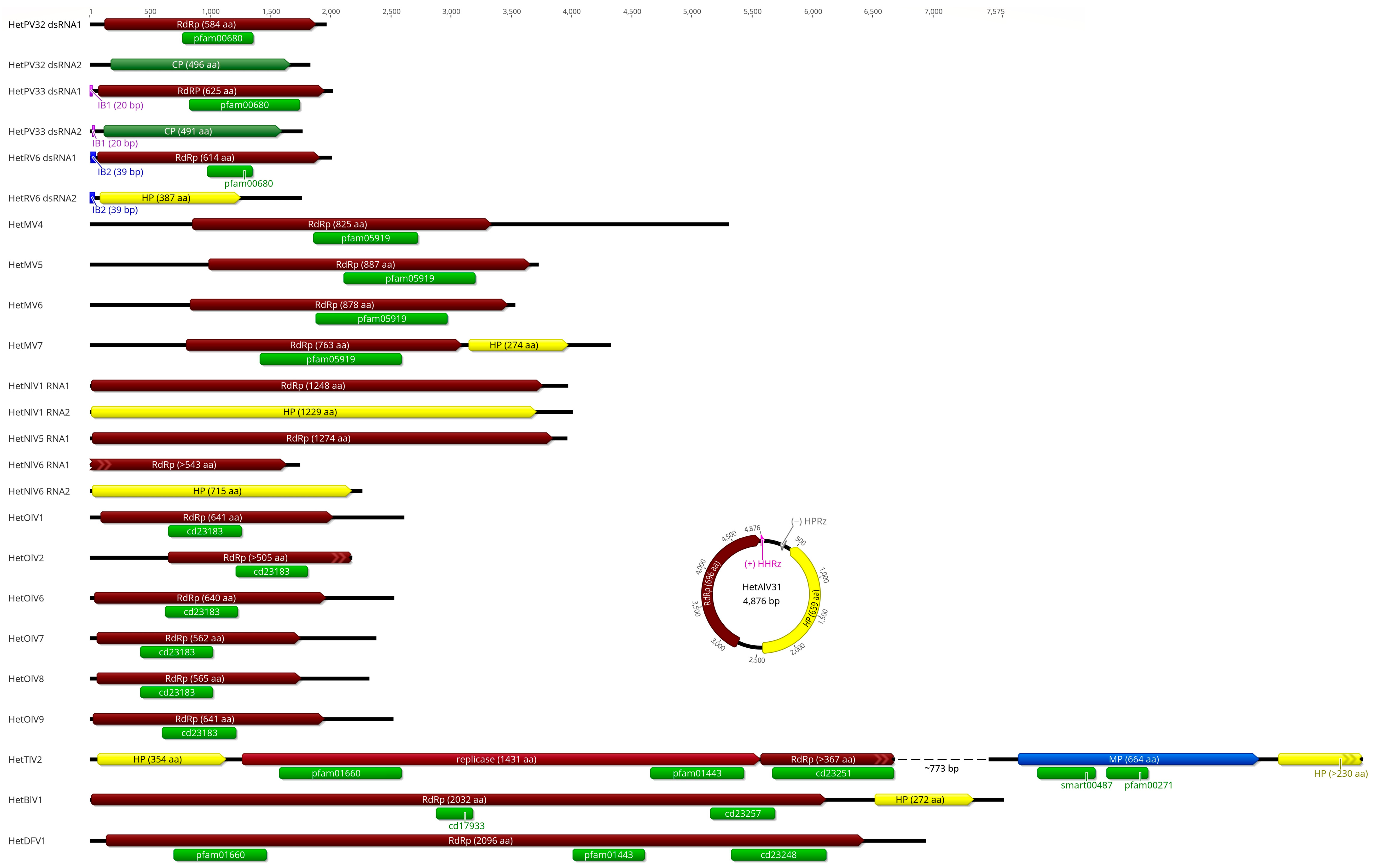 Viruses 17 01144 g002 Viruses 17 01144 g002