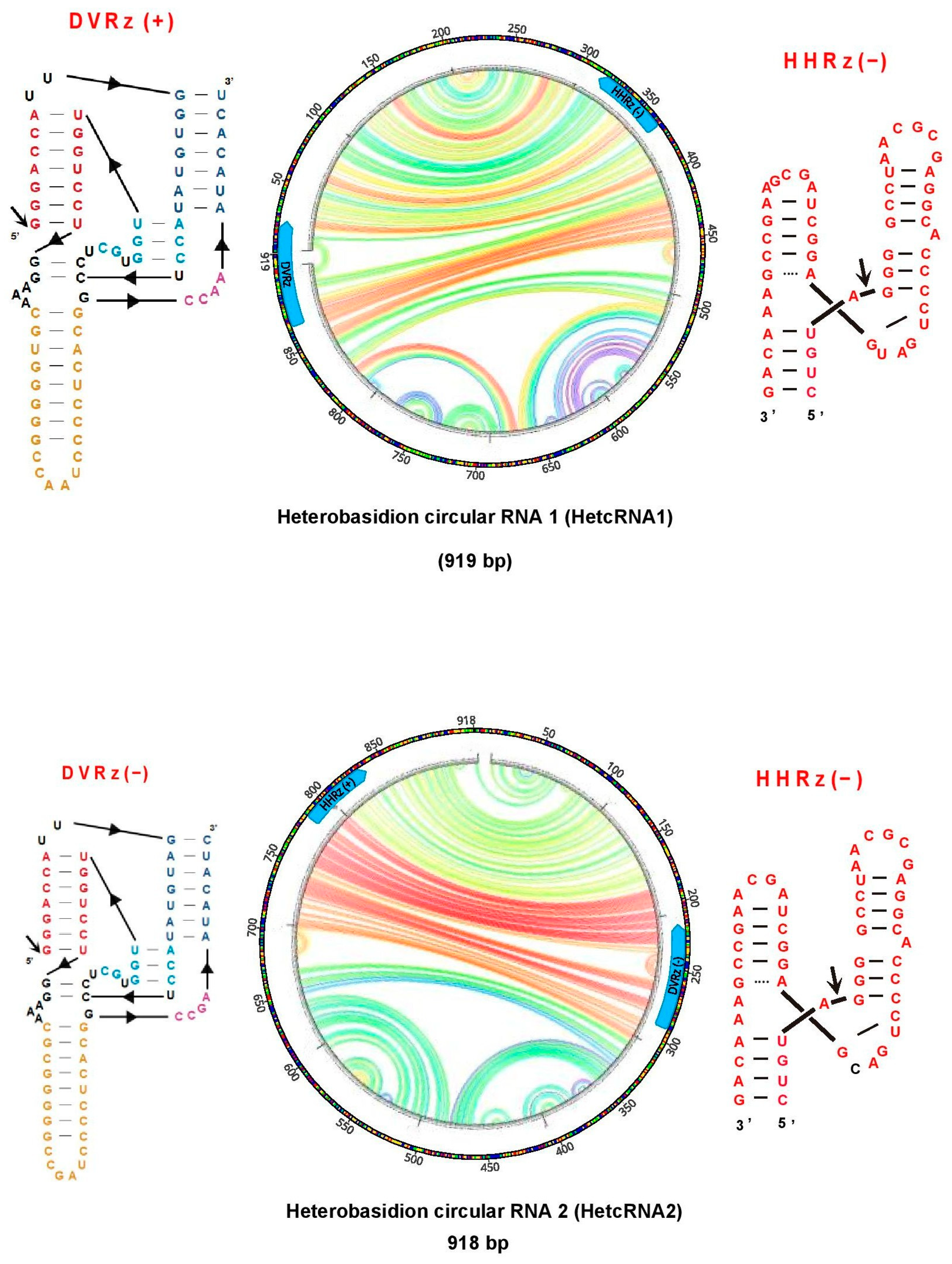 Viruses 17 01144 g009 Viruses 17 01144 g009