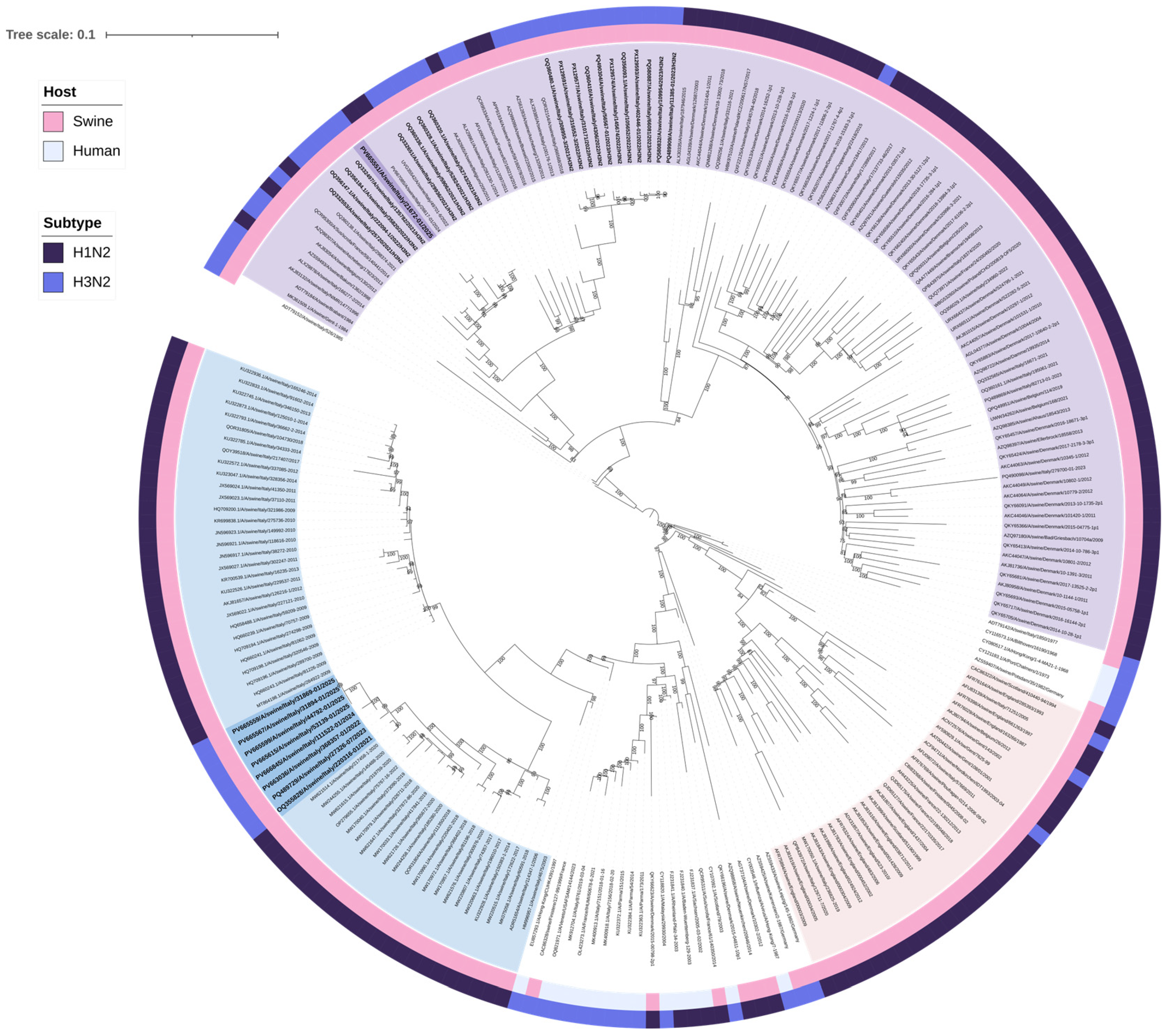 Viruses 17 01171 g002