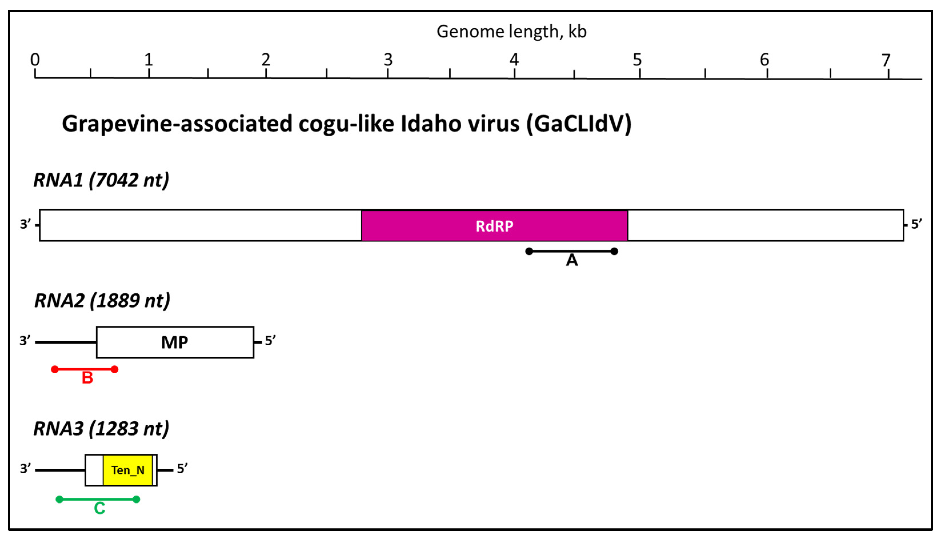 Viruses 17 01175 g002