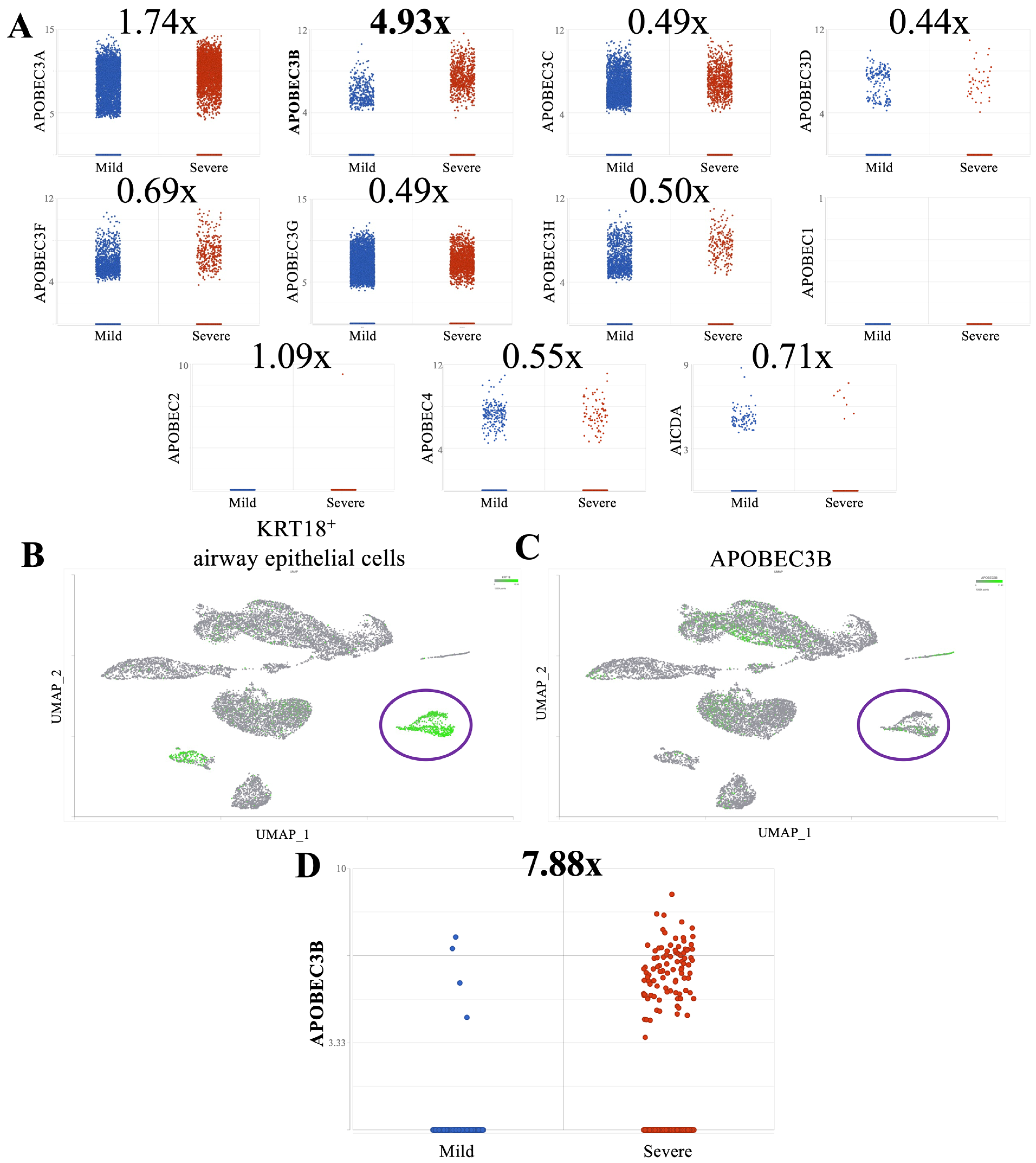 Viruses 17 01176 g001