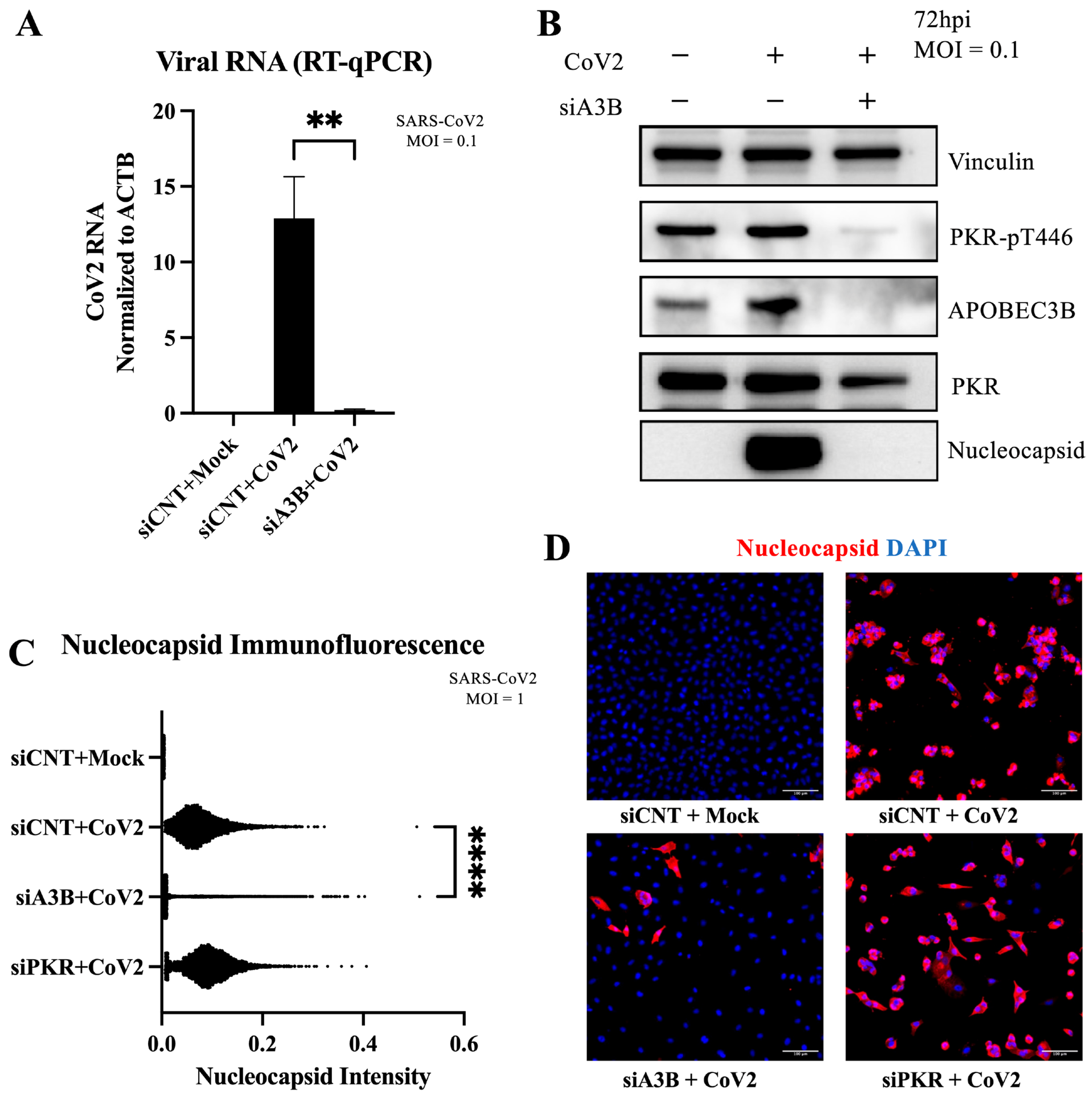 Viruses 17 01176 g004
