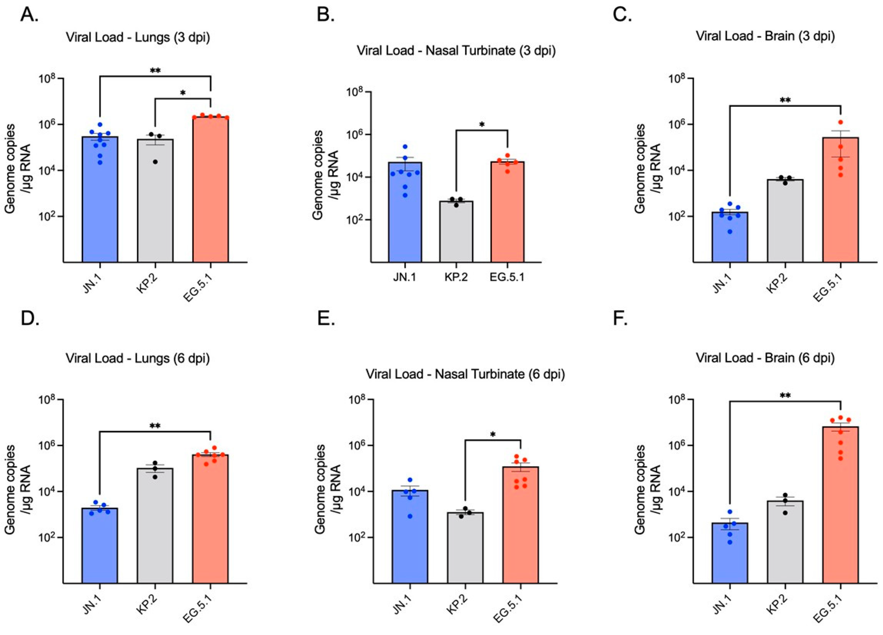 Viruses 17 01177 g002 Viruses 17 01177 g002