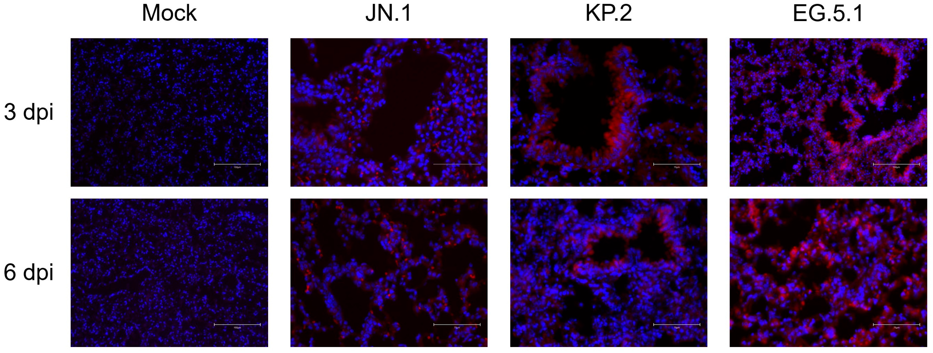 Viruses 17 01177 g005 Viruses 17 01177 g005
