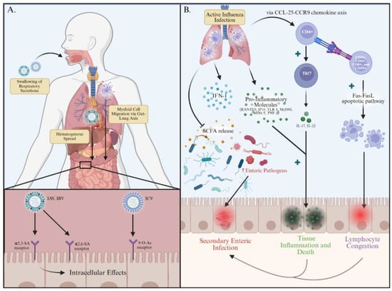 Viruses 17 01187 g001