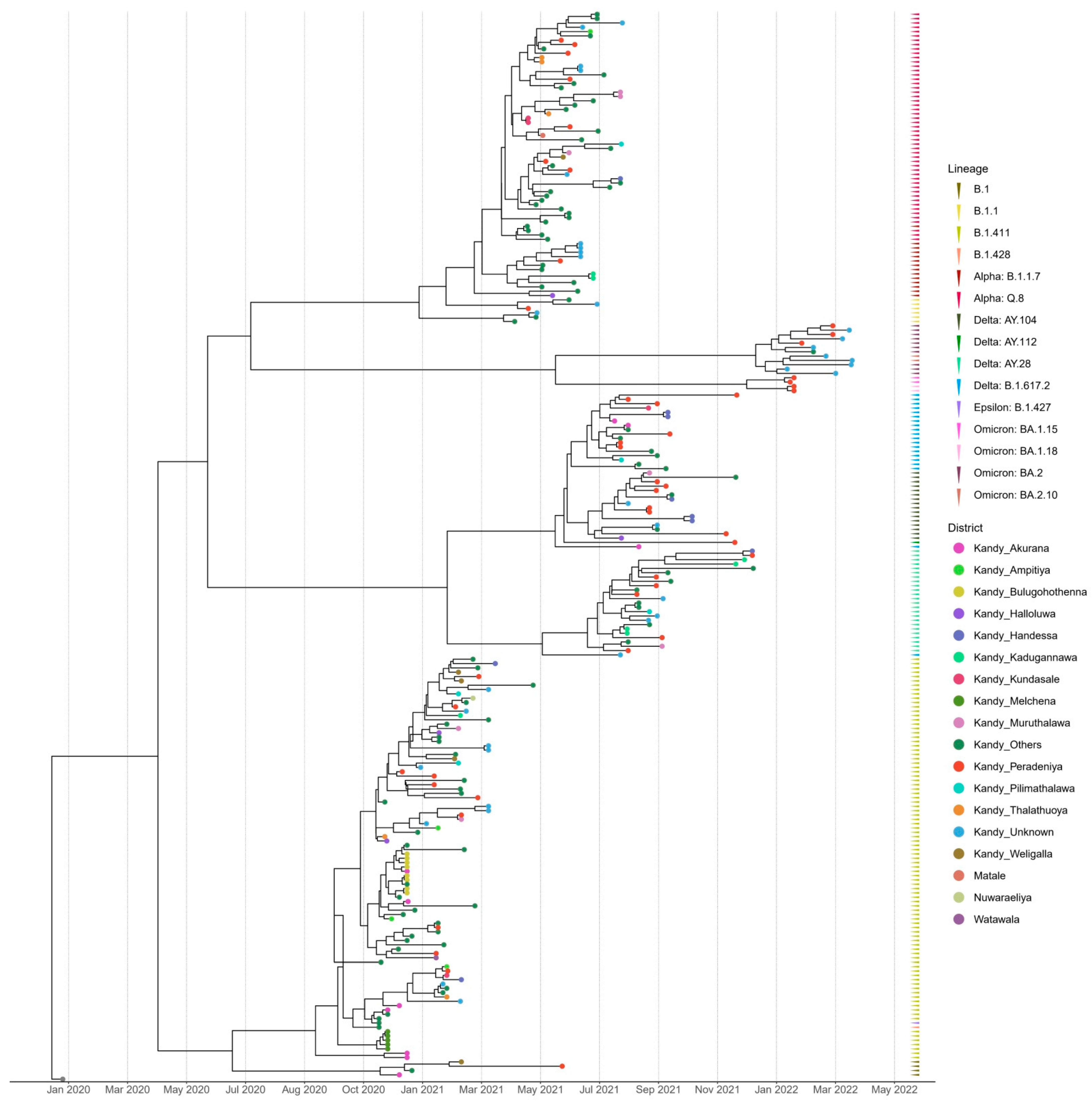 Viruses 17 01189 g002 Viruses 17 01189 g002