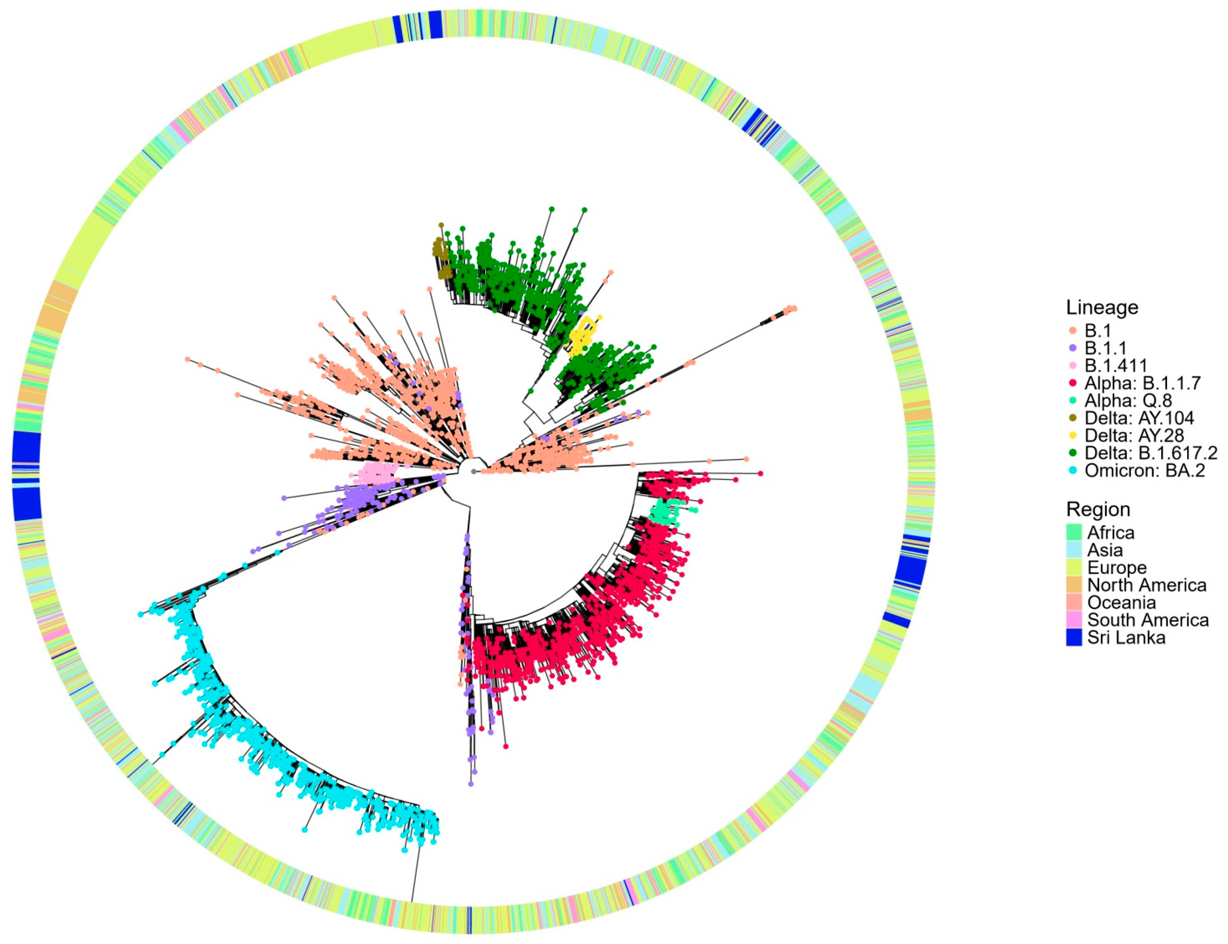 Viruses 17 01189 g003 Viruses 17 01189 g003