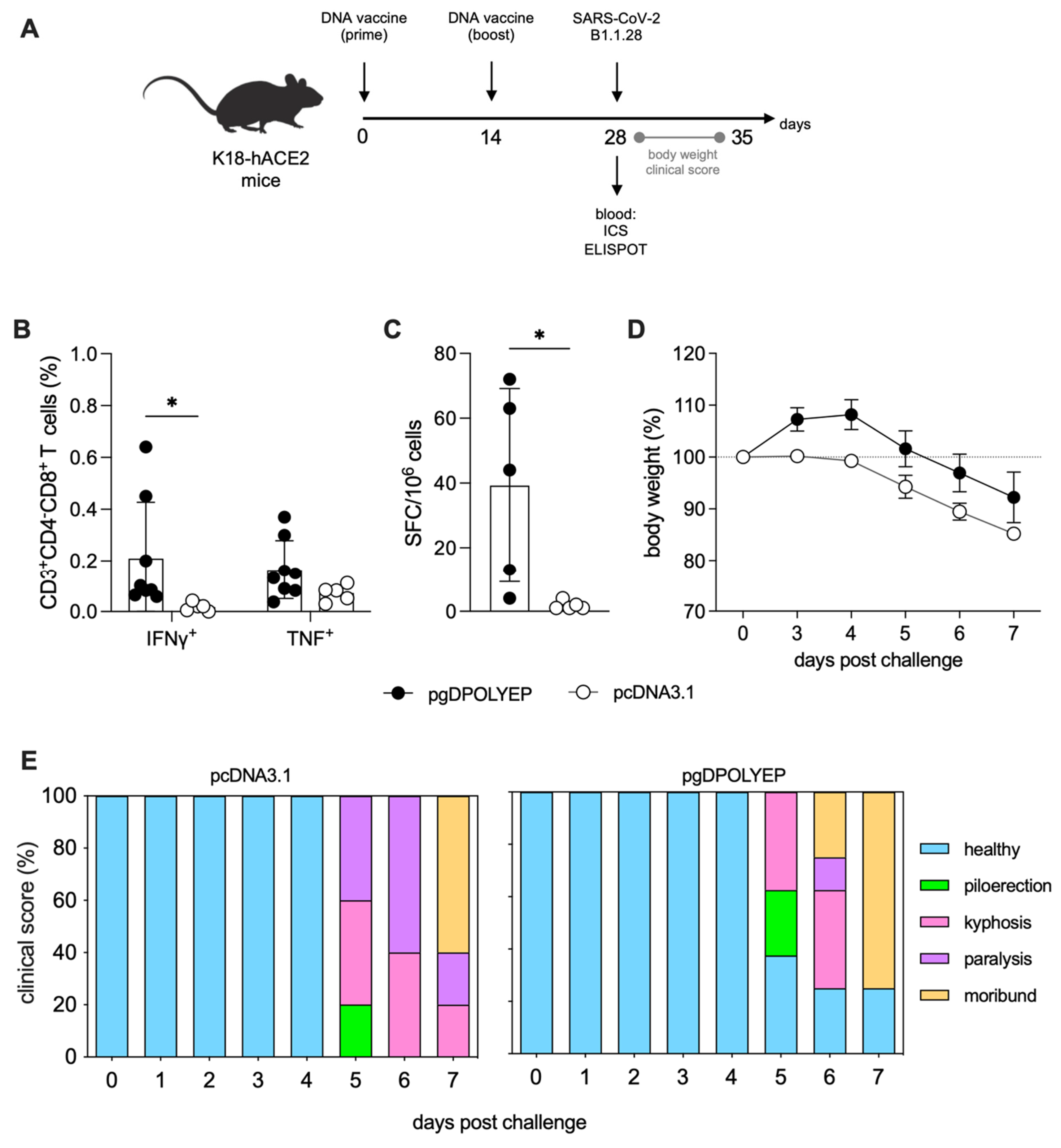 Viruses 17 01191 g003