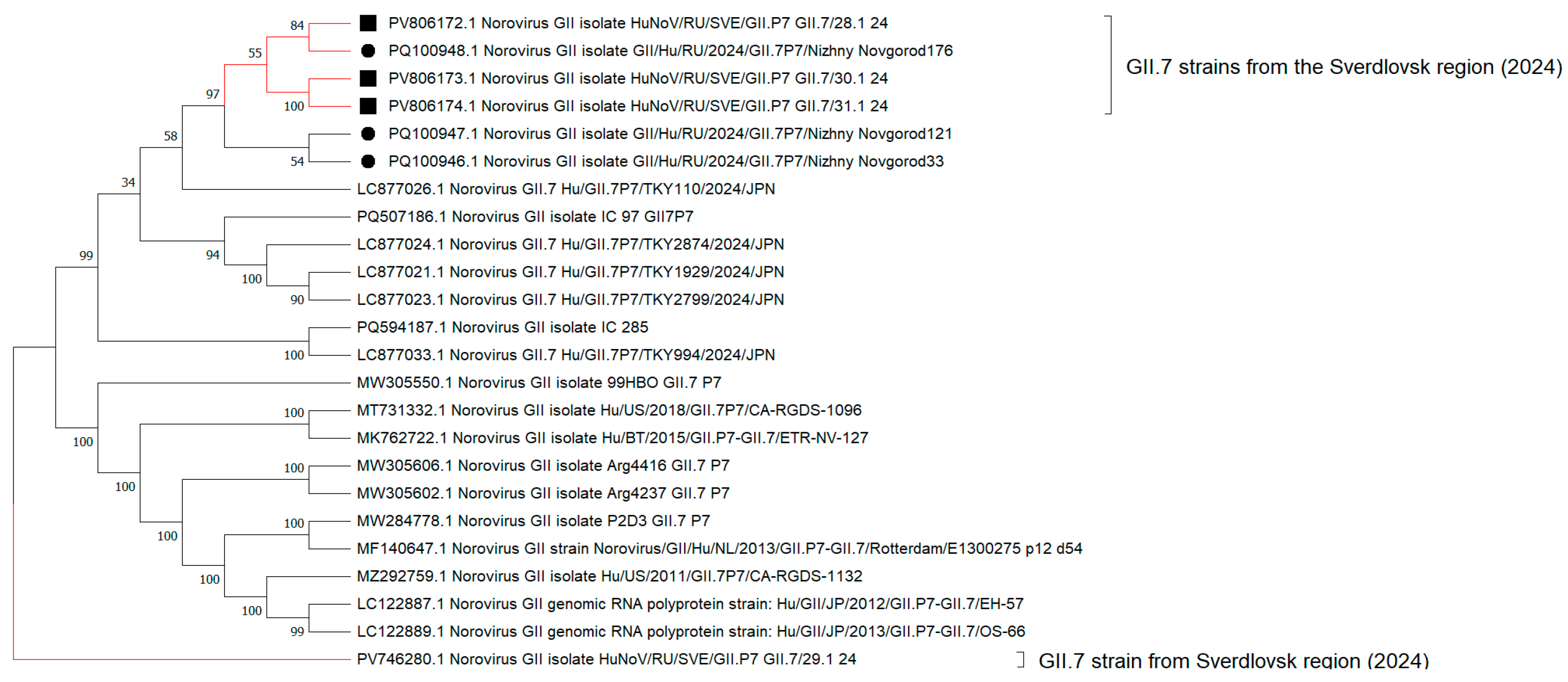 Viruses 17 01243 g007 Viruses 17 01243 g007