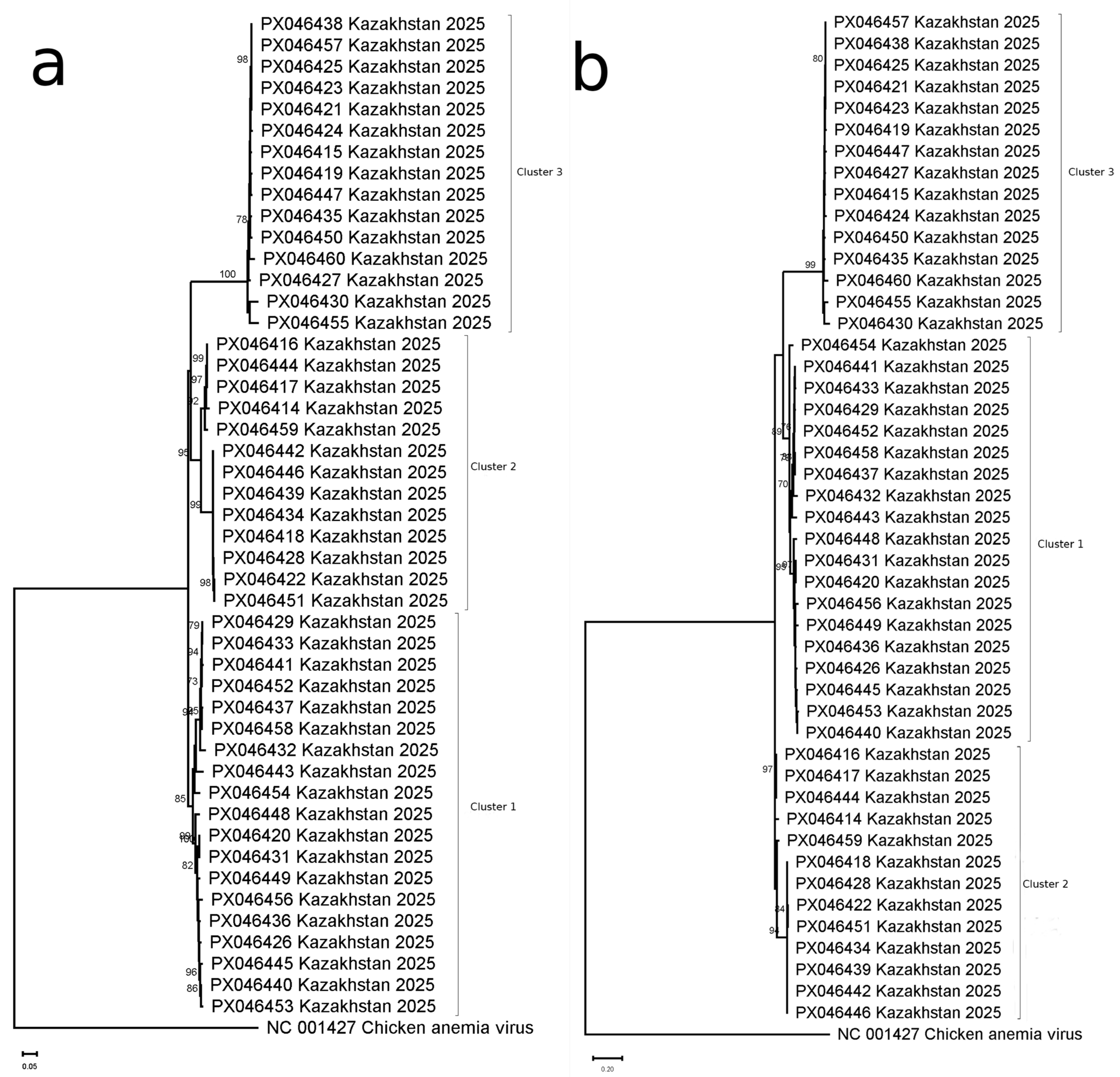 Viruses 17 01265 g001