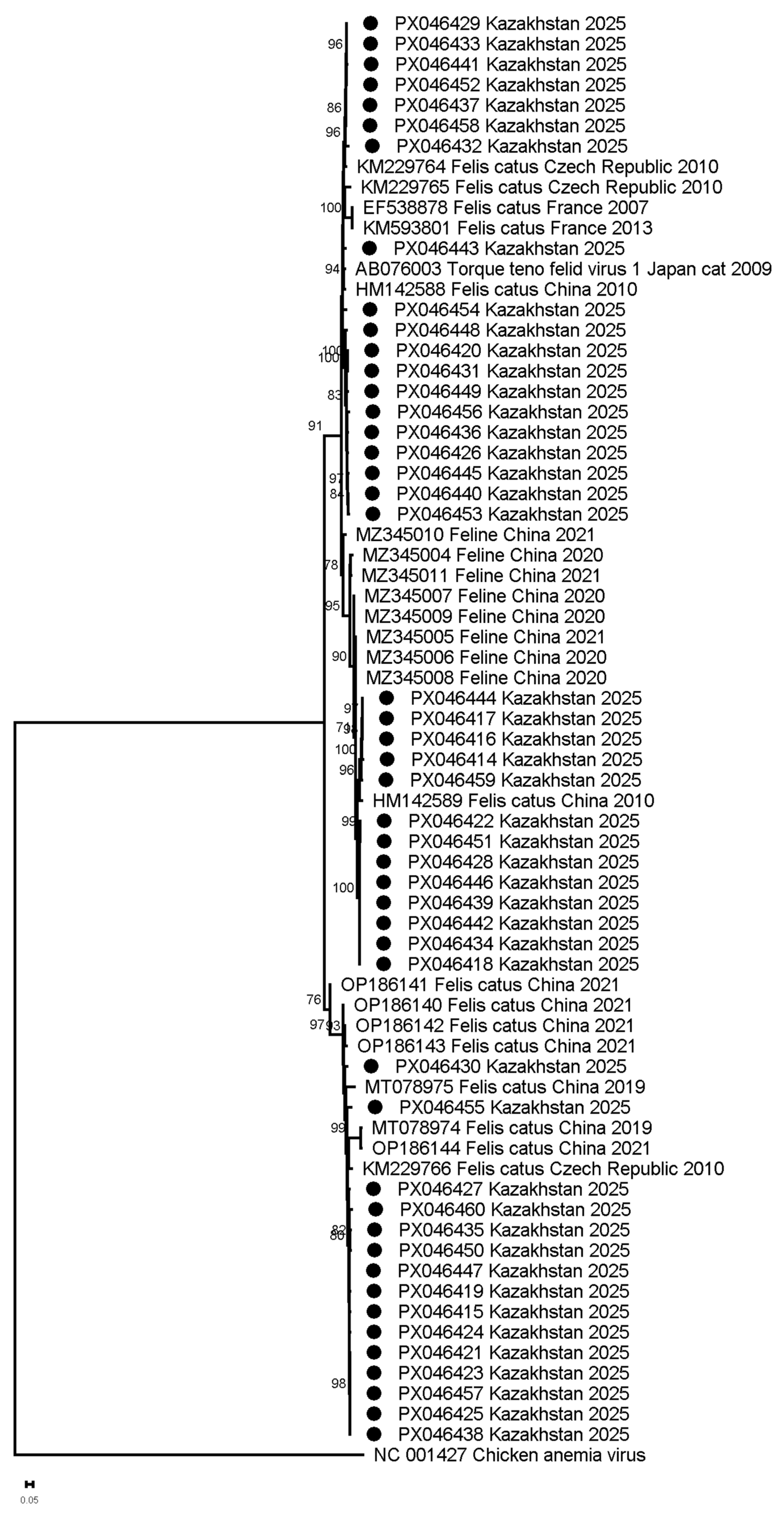 Viruses 17 01265 g002