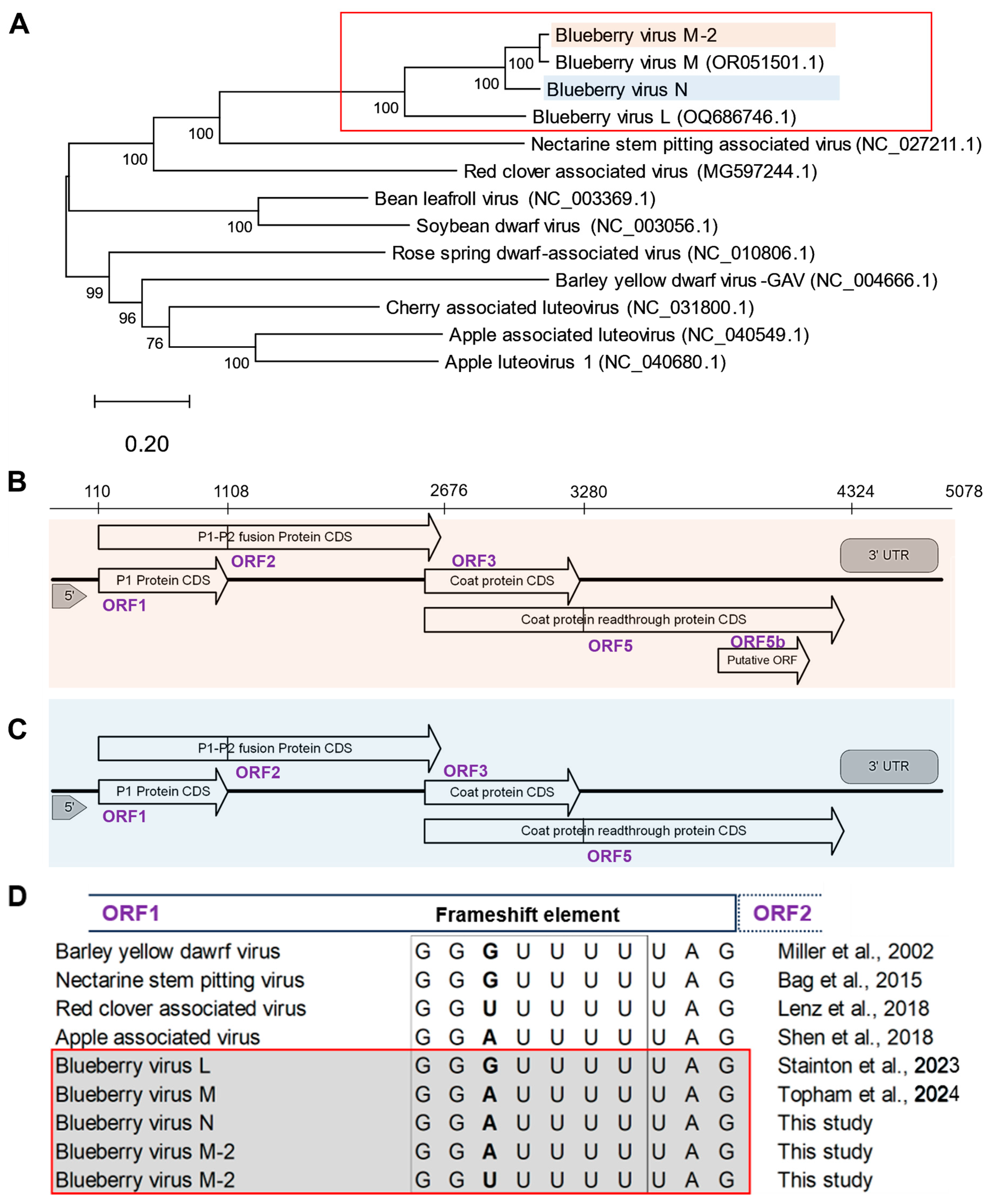 Viruses 17 01286 g001
