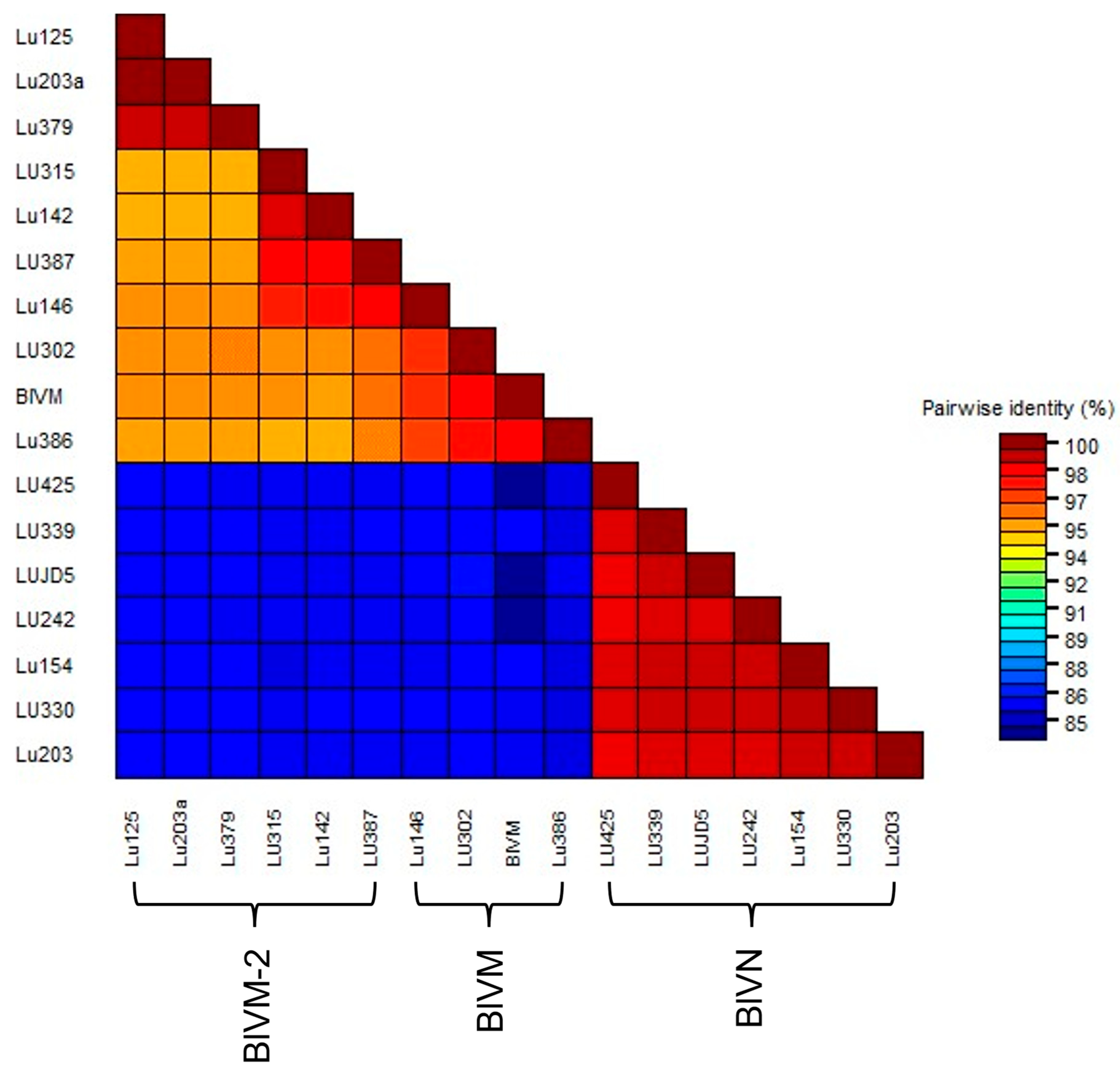 Viruses 17 01286 g003