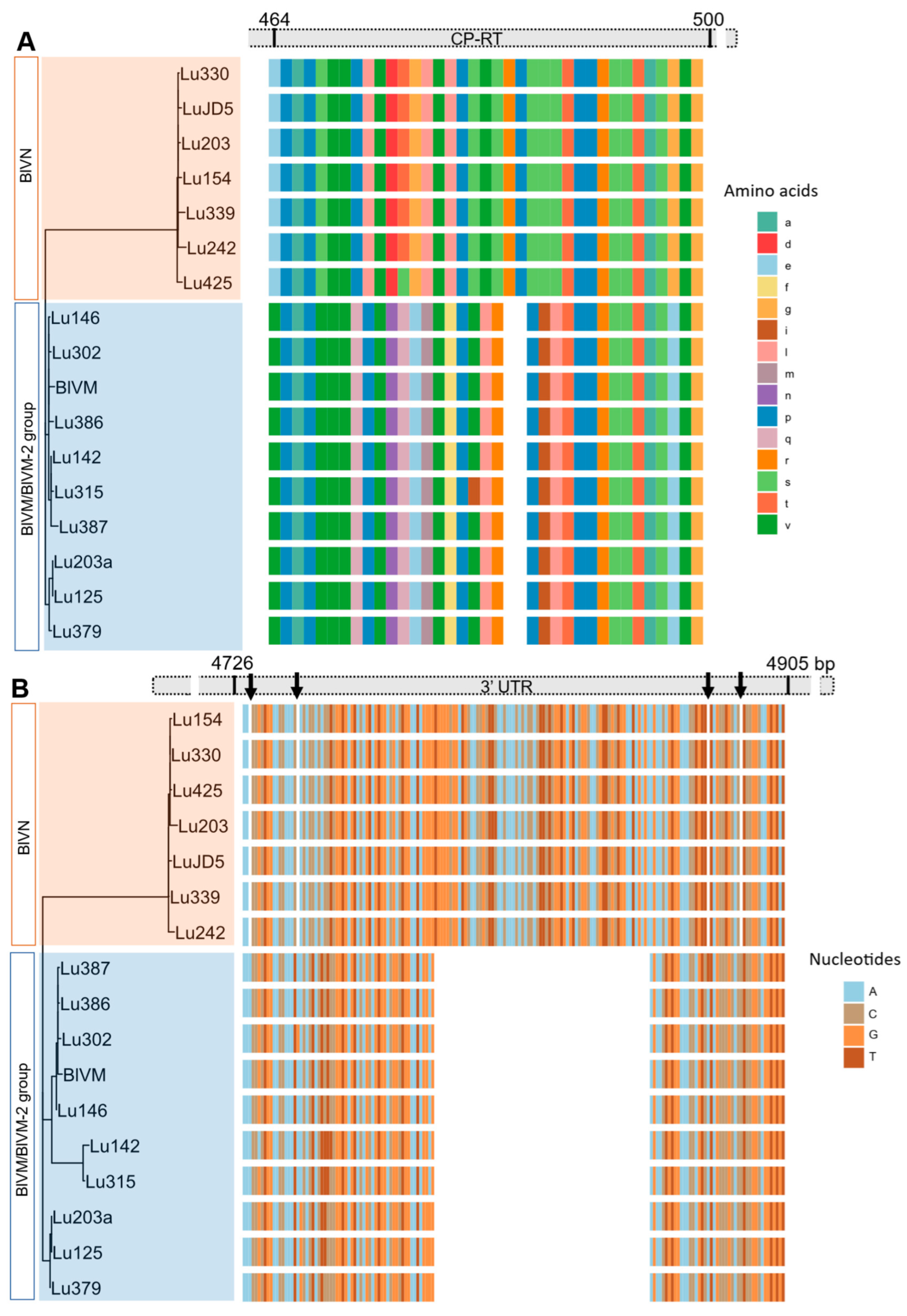 Viruses 17 01286 g004