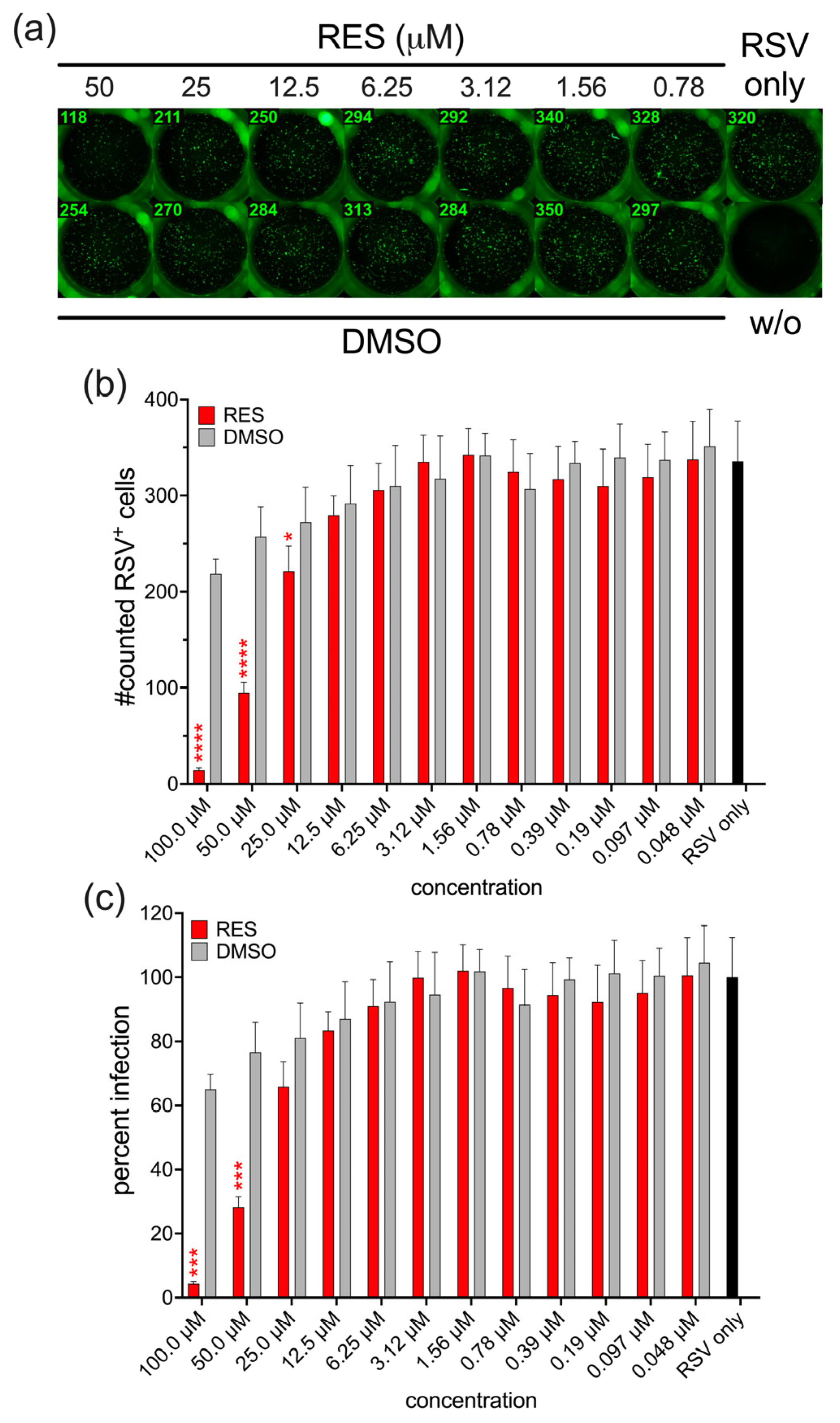 Viruses 17 01287 g002 Viruses 17 01287 g002