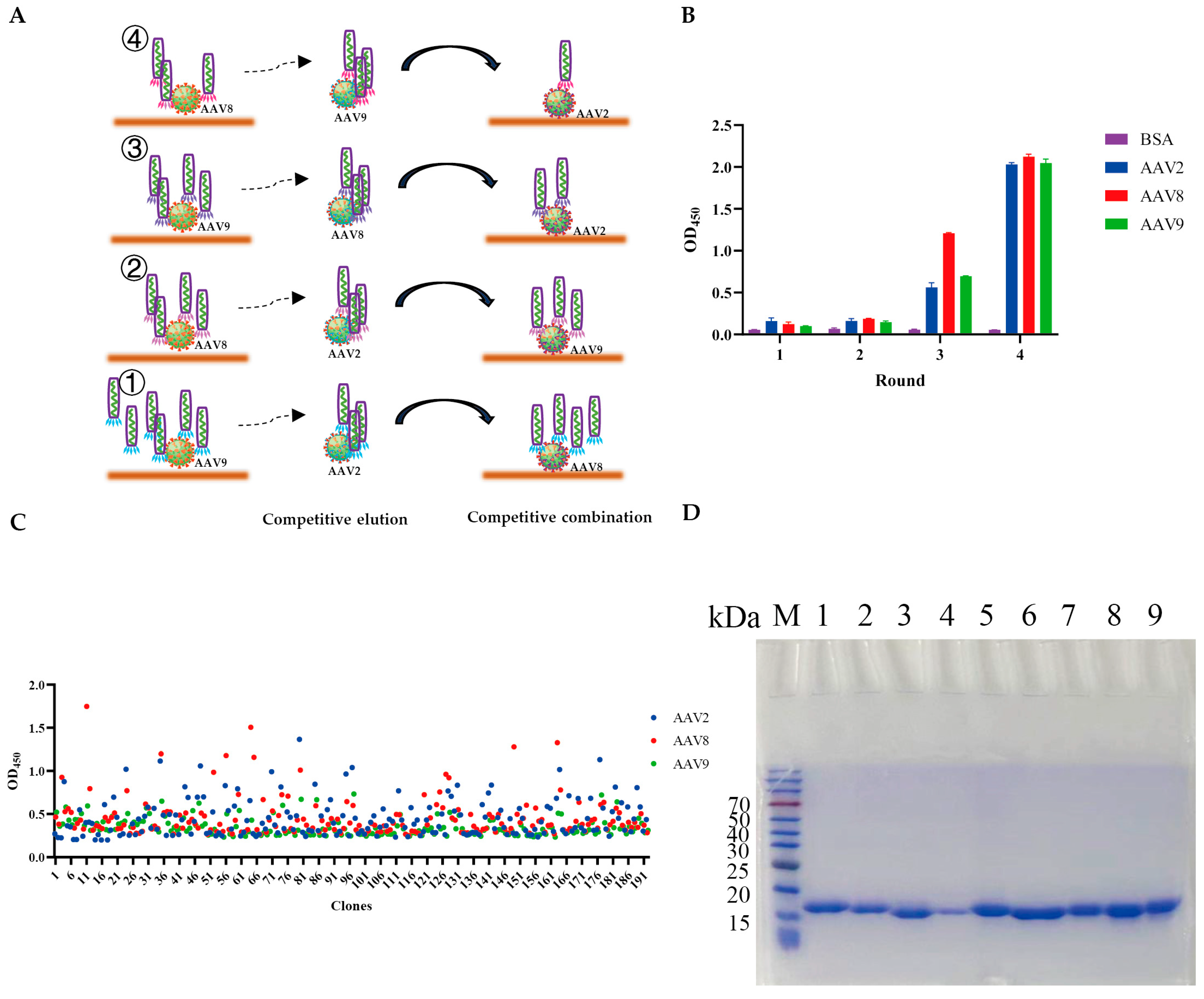 Viruses 17 01289 g001