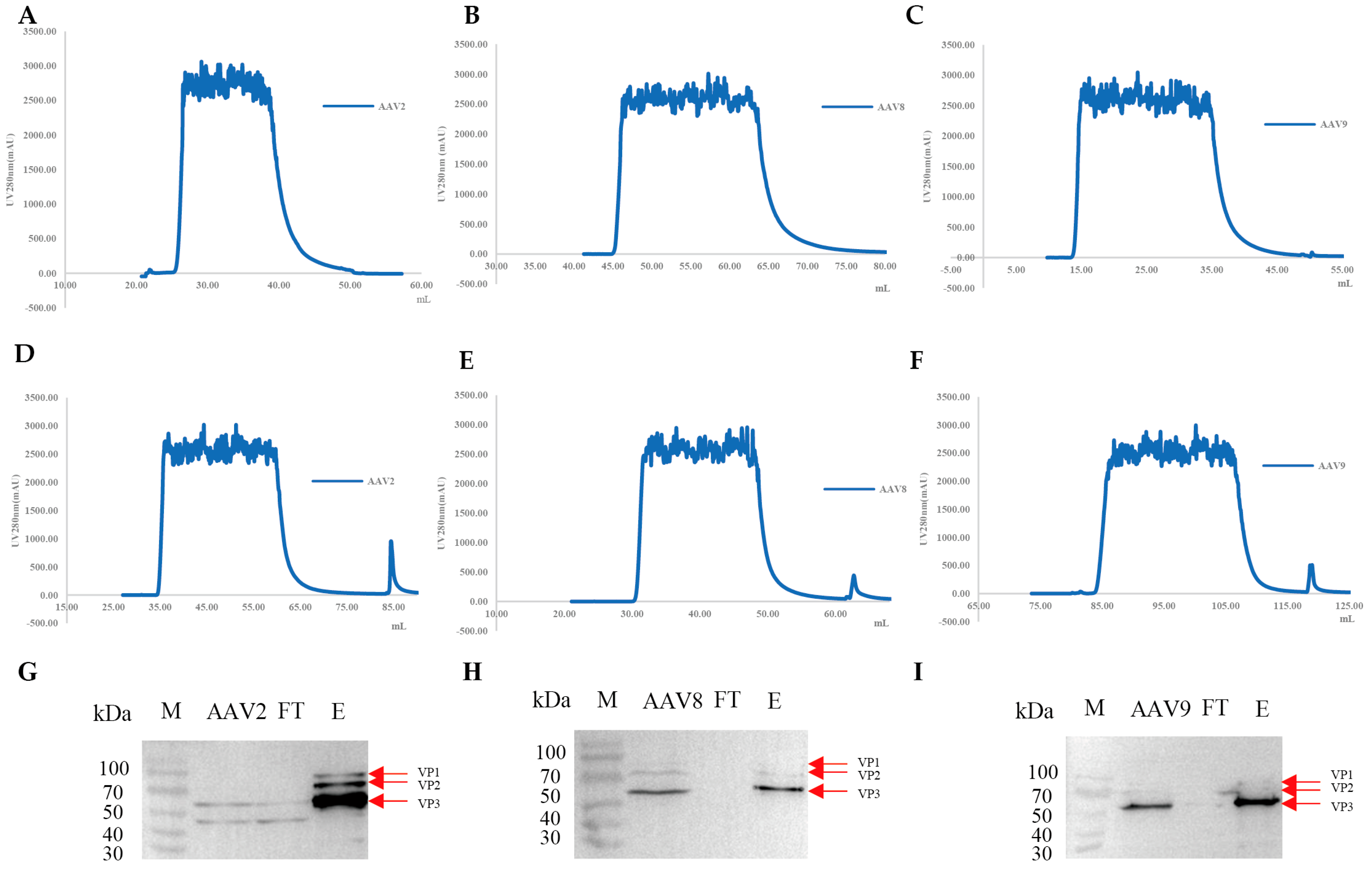 Viruses 17 01289 g004
