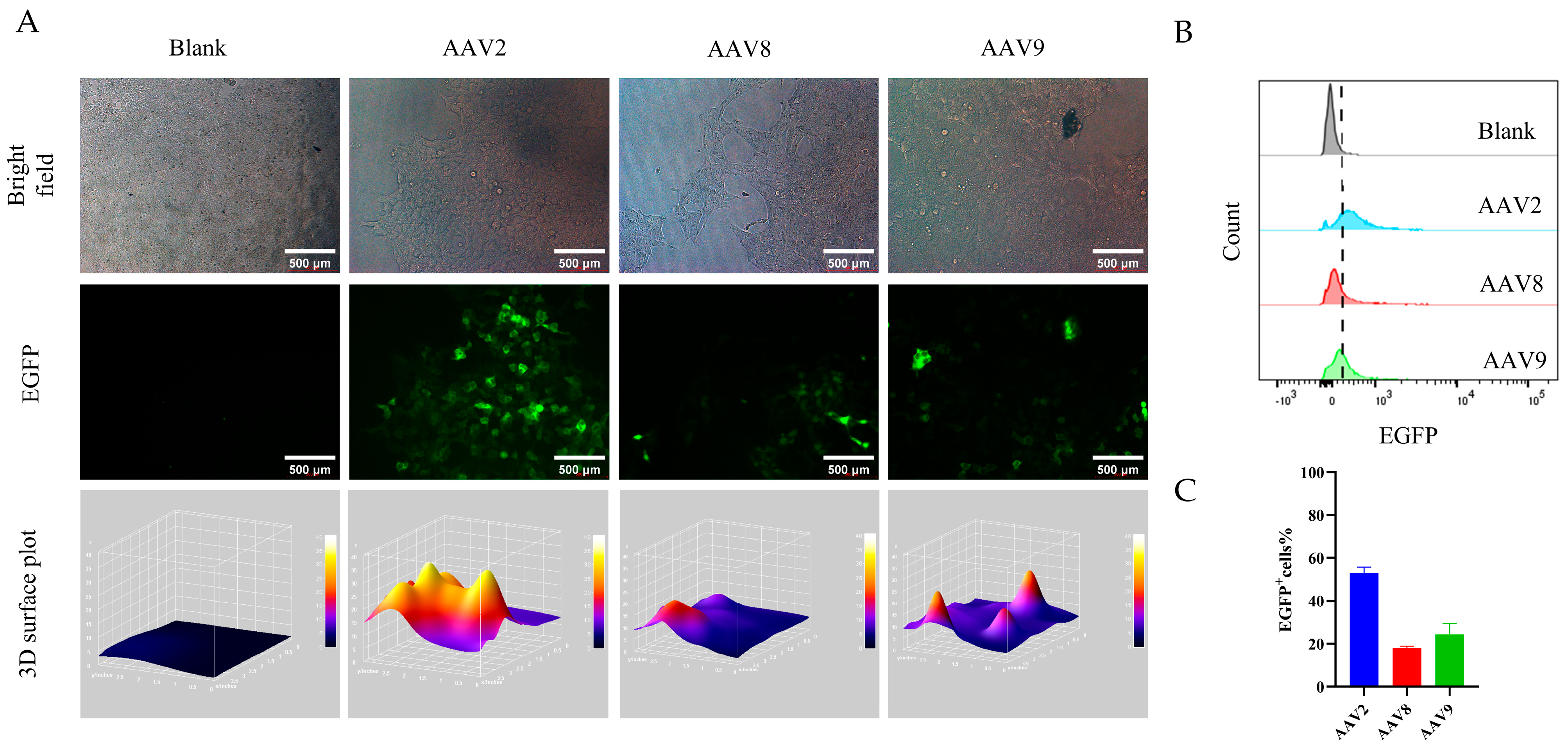 Viruses 17 01289 g005
