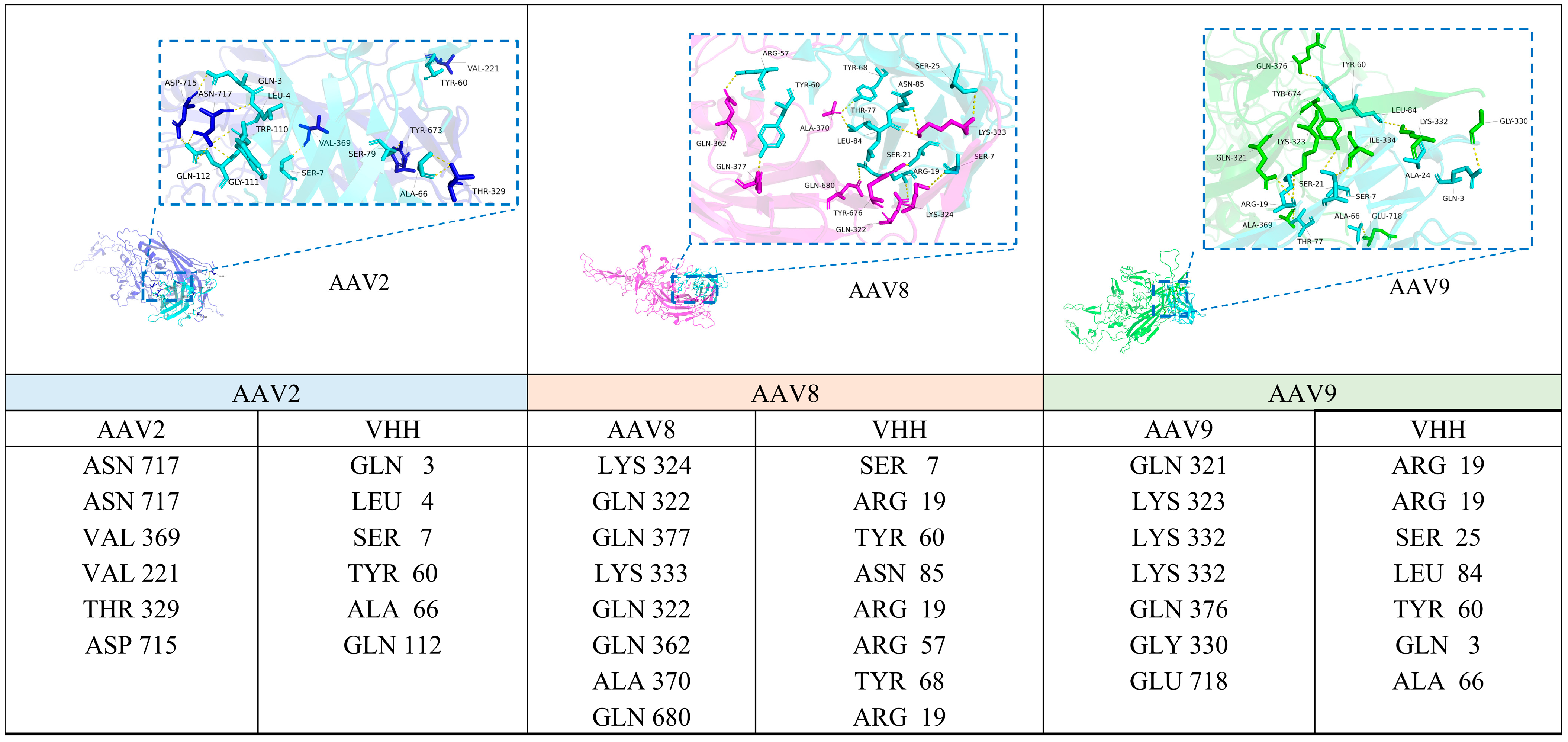 Viruses 17 01289 g006